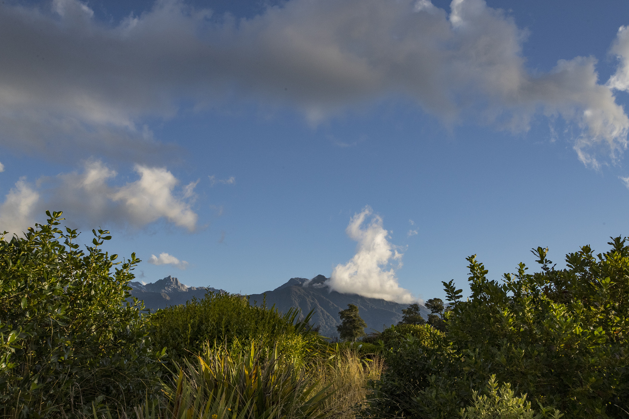 Canon EF 16-35mm F2.8L II USM sample photo. Efi photography