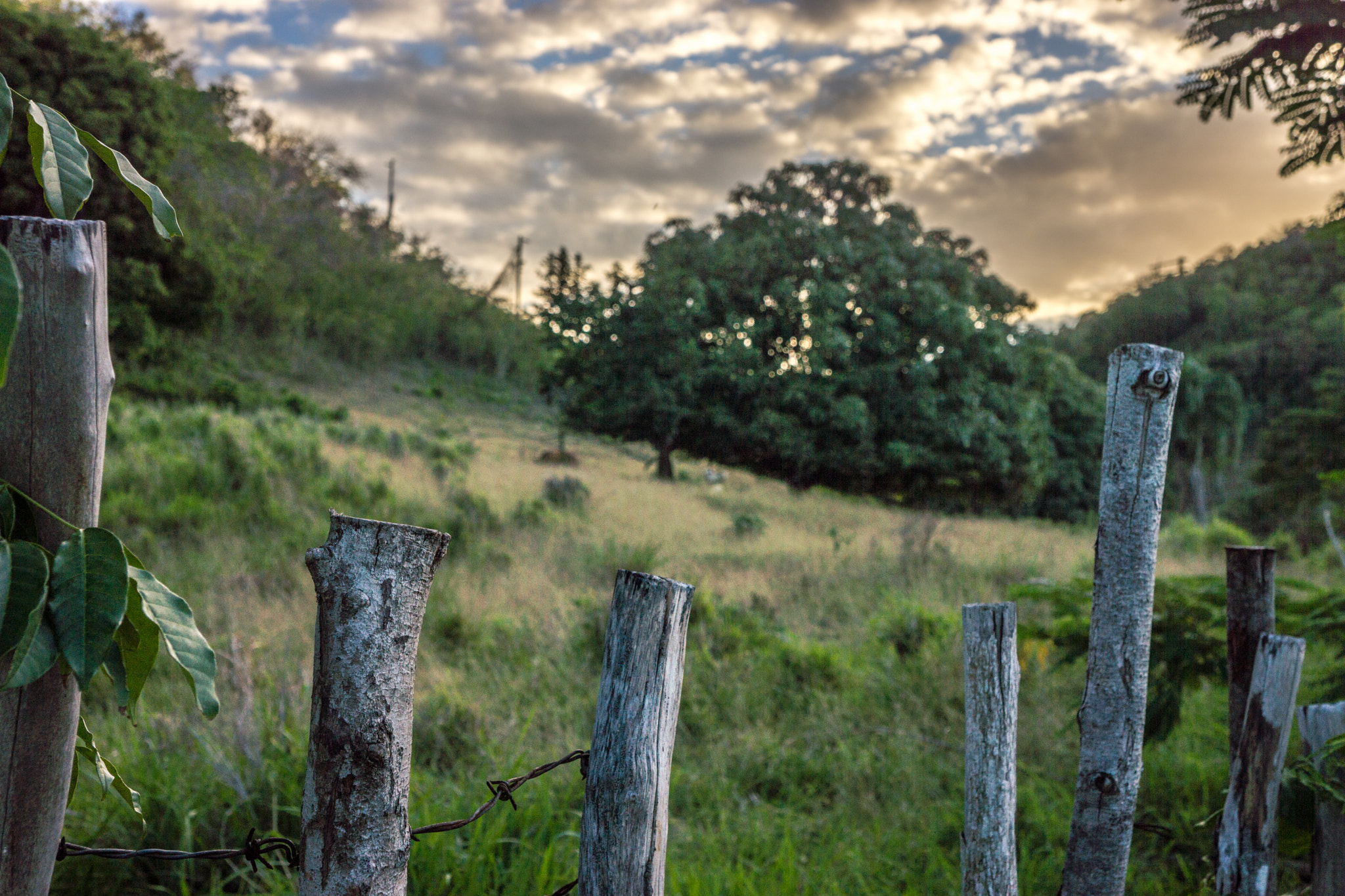 Sony Alpha NEX-7 + Sony E 18-55mm F3.5-5.6 OSS sample photo. Early morning-tres palmas-route 413-rincon, puerto rico photography
