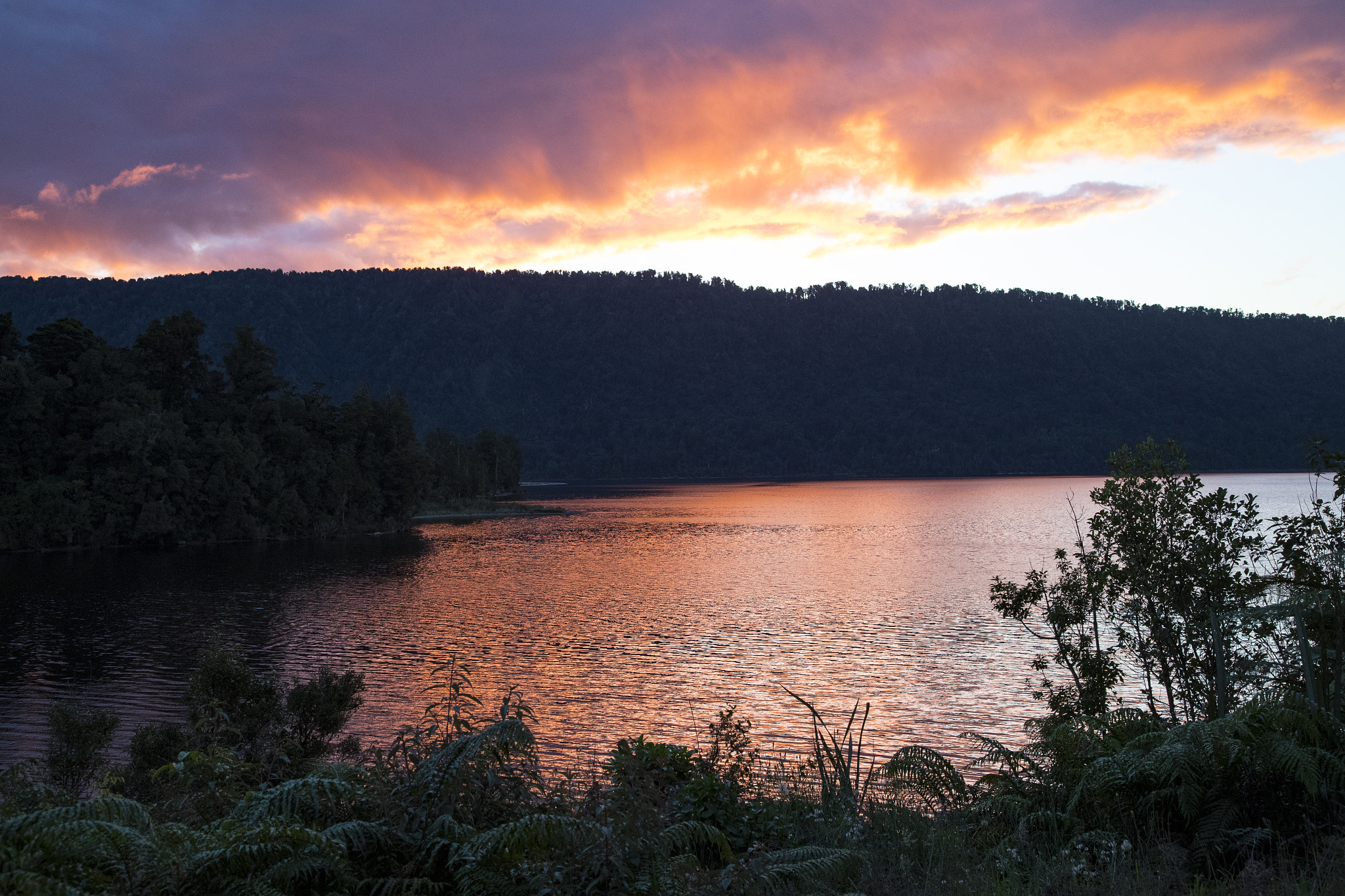 Canon EF 24-105mm F4L IS USM sample photo. Efi photography