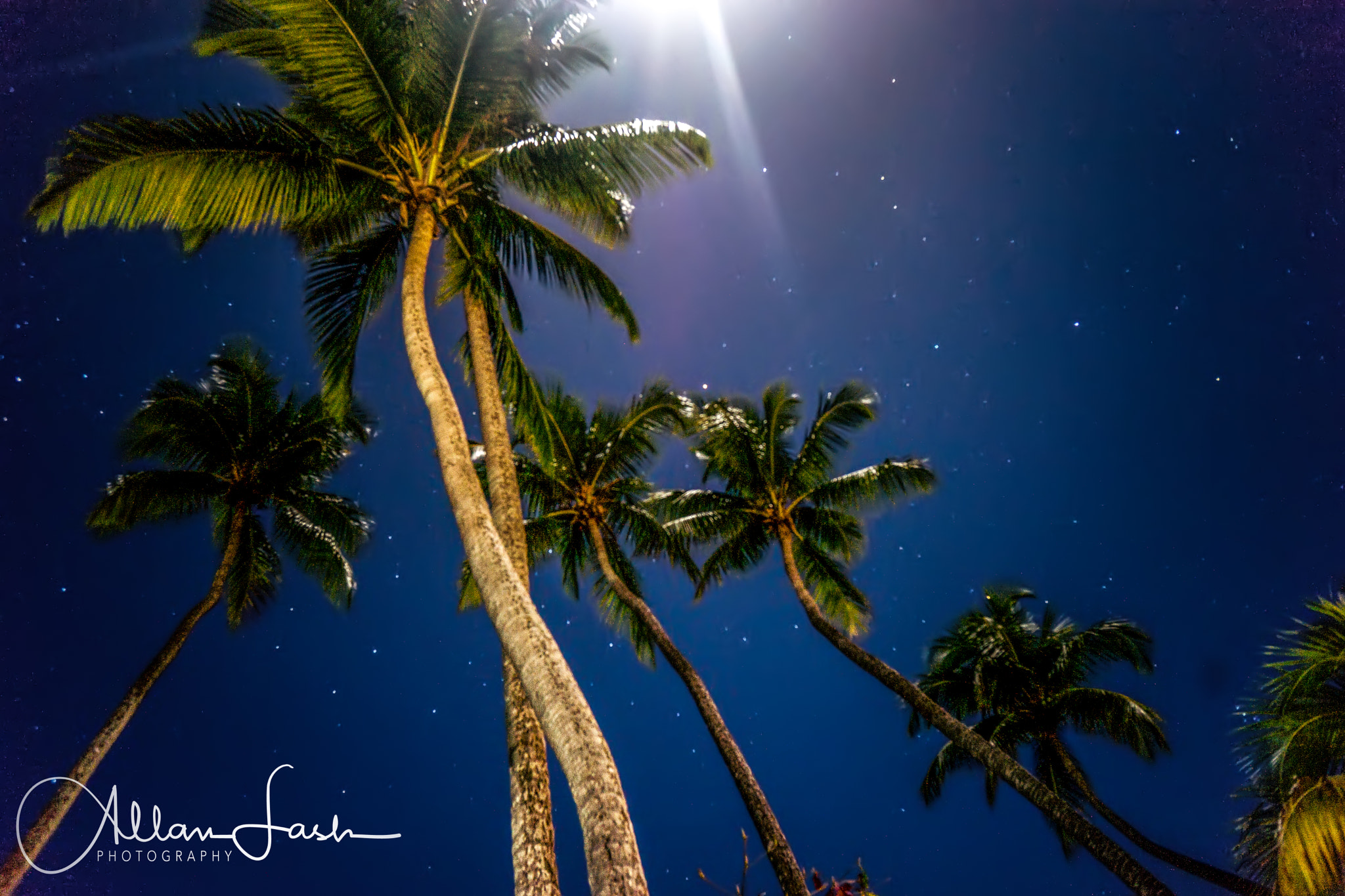 Sony Alpha NEX-7 sample photo. Palm trees at midnight-under full moon-rincon, puerto rico photography