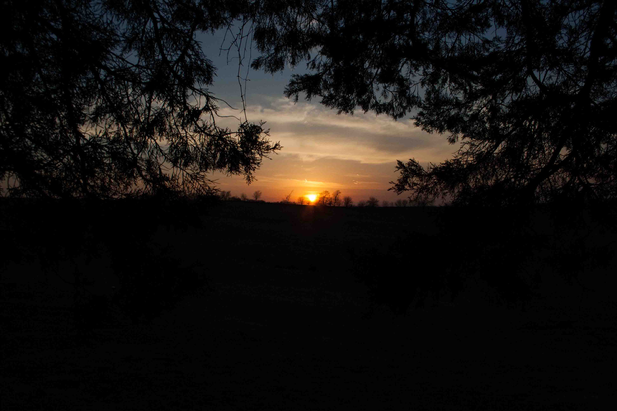 Canon EOS 400D (EOS Digital Rebel XTi / EOS Kiss Digital X) sample photo. No need to edit, it's simple photography