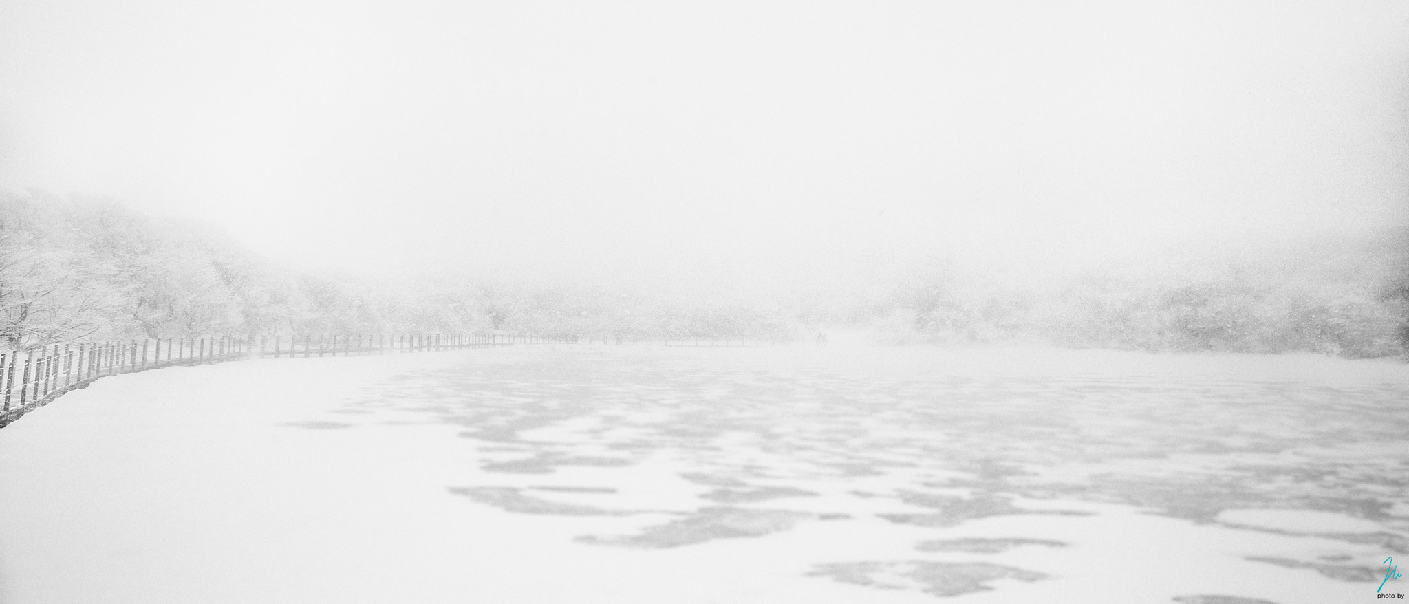 Canon EOS 6D + Sigma 24-70mm F2.8 EX DG Macro sample photo. In the snowstorm. photography