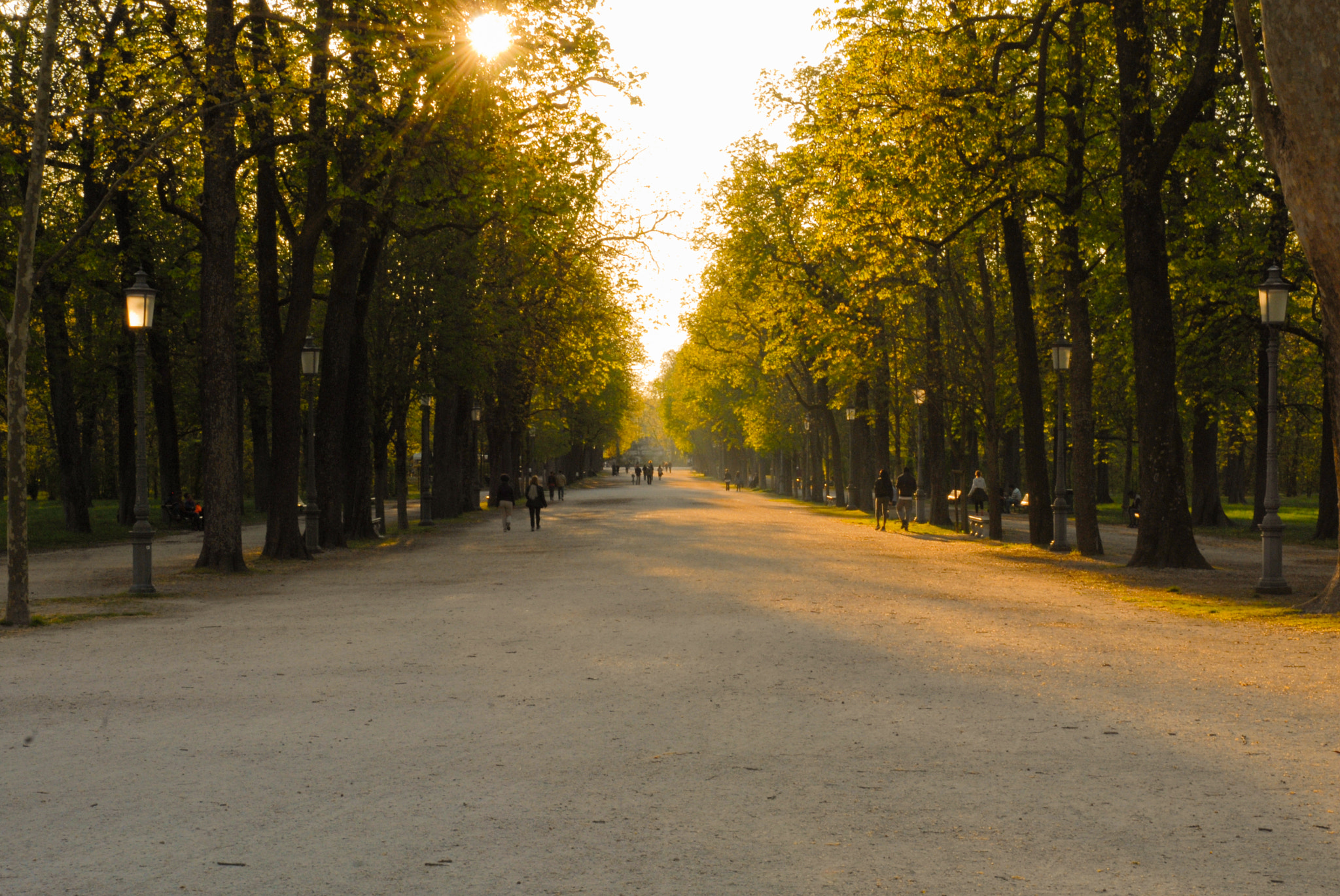 Nikon D200 sample photo. Sunset in ducale photography
