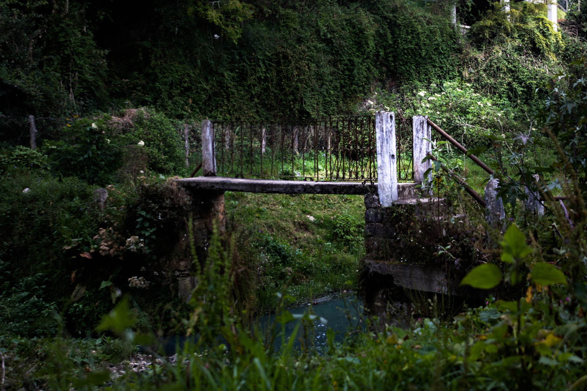 Canon EOS 750D (EOS Rebel T6i / EOS Kiss X8i) sample photo. Sipuente photography