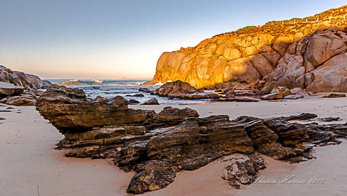 Nikon D7100 + Sigma 10-20mm F4-5.6 EX DC HSM sample photo. Rock lizard  photography