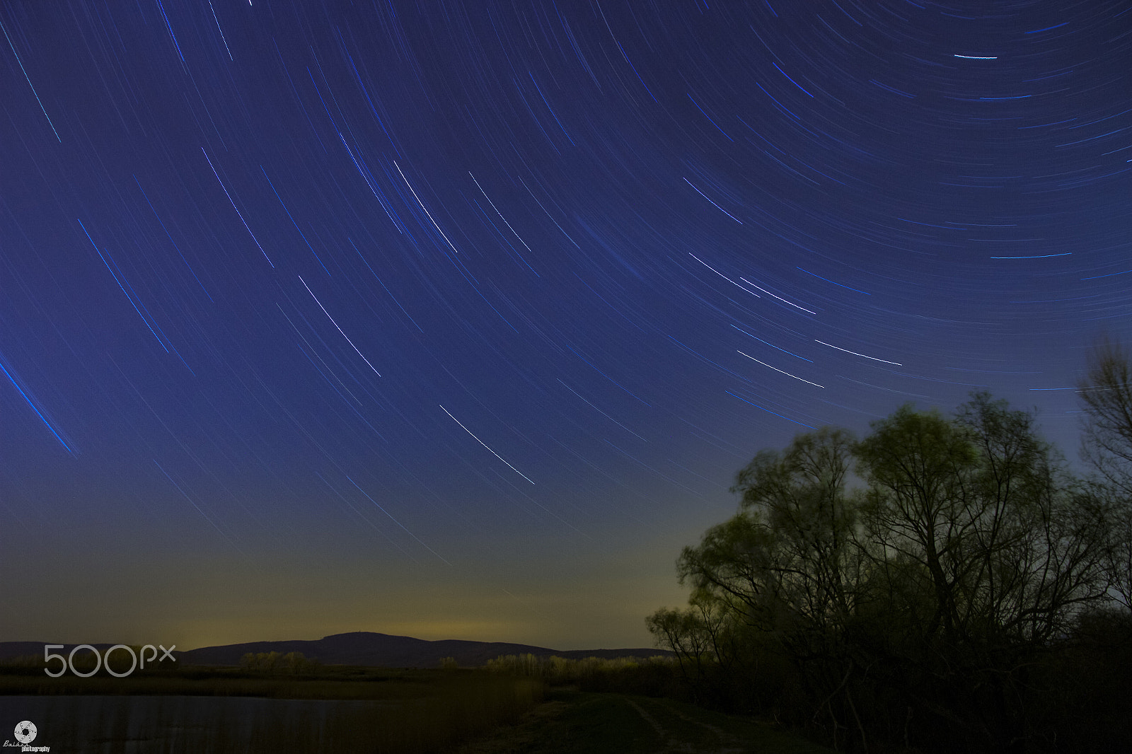Sigma 17-70mm F2.8-4 DC Macro OS HSM sample photo. Img photography