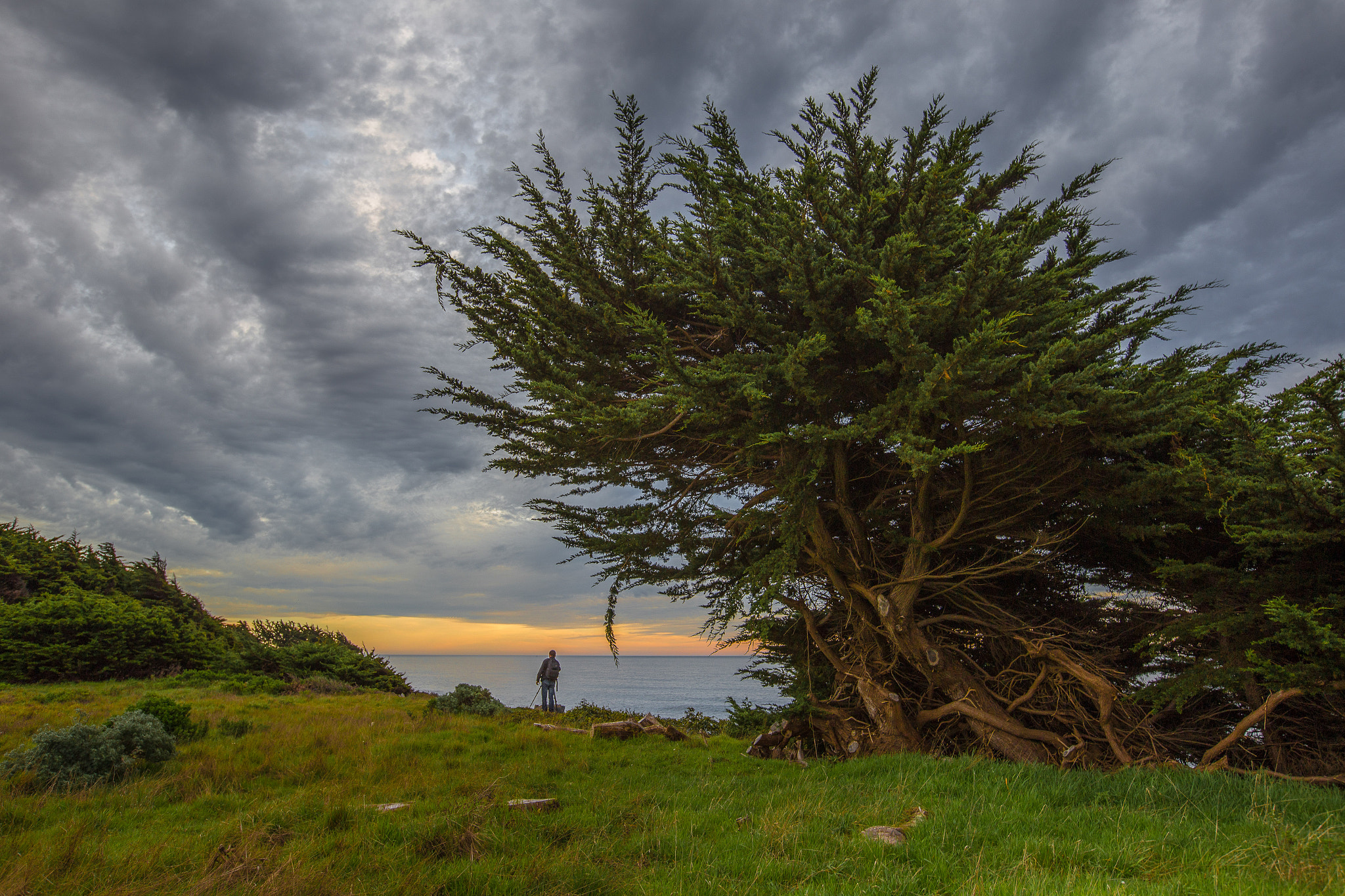 Canon EF 16-35mm F2.8L II USM sample photo. Sunset at sea ranch photography