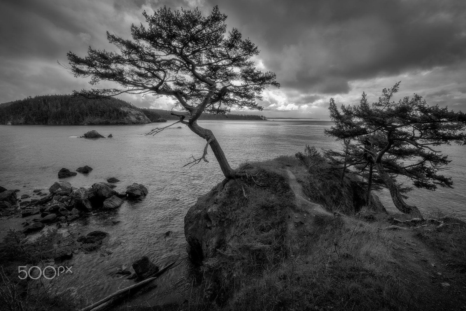 Sony a7R II + Sony Vario-Tessar T* FE 16-35mm F4 ZA OSS sample photo. Guardian of the bay photography