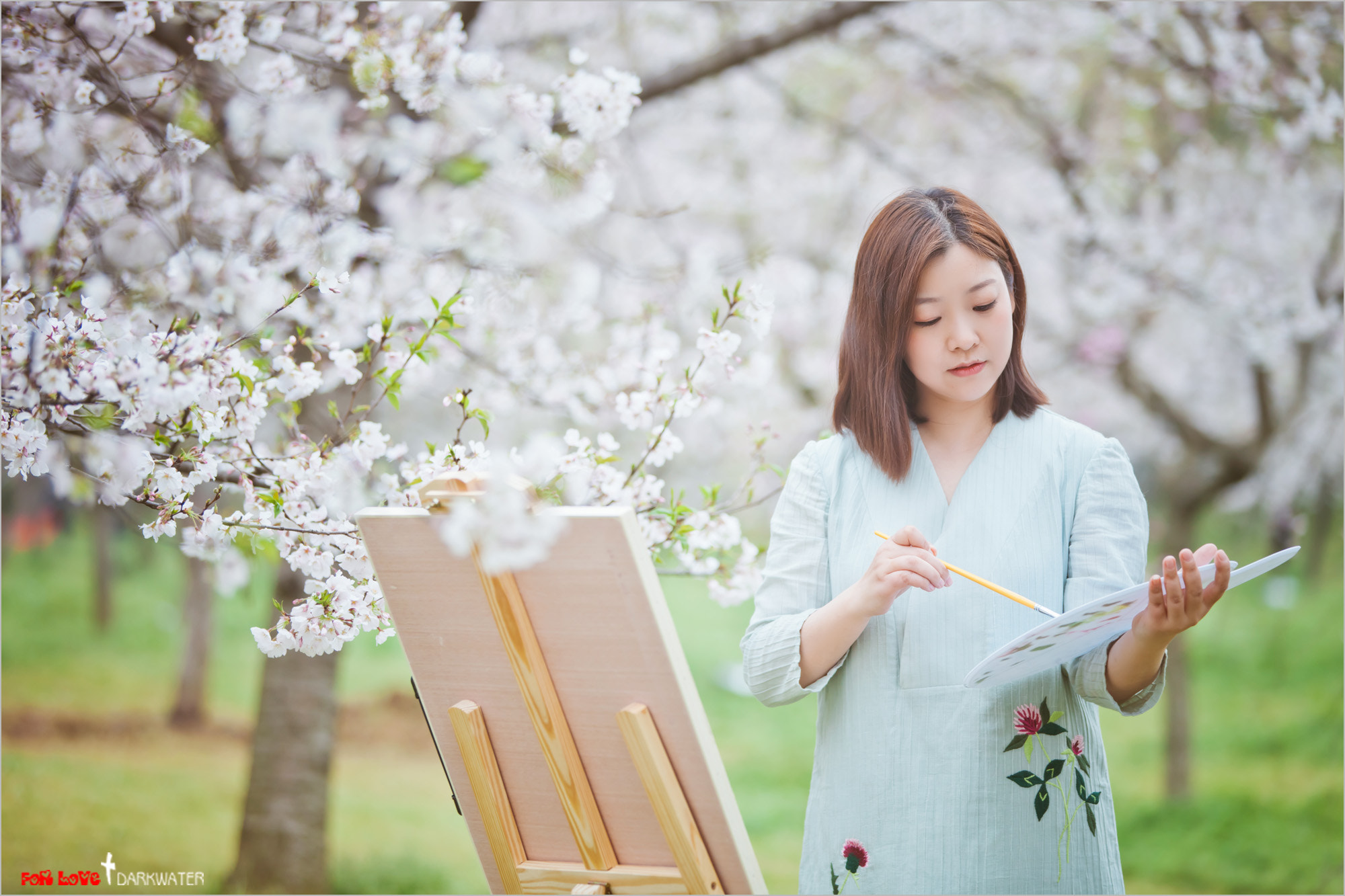 Canon EF 70-200mm F2.8L IS II USM sample photo. 樱花季 photography