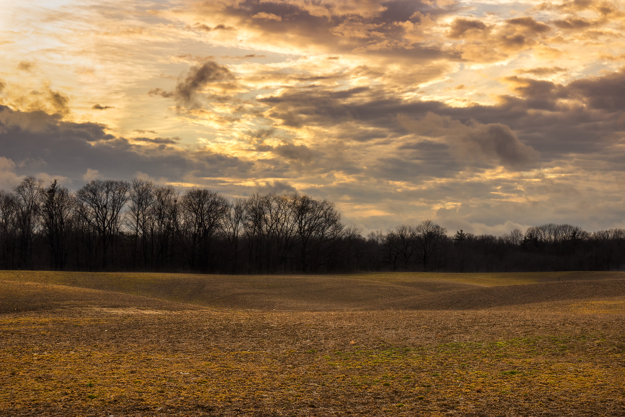 Canon EF-S 17-55mm F2.8 IS USM sample photo. The magic of the golden hour photography