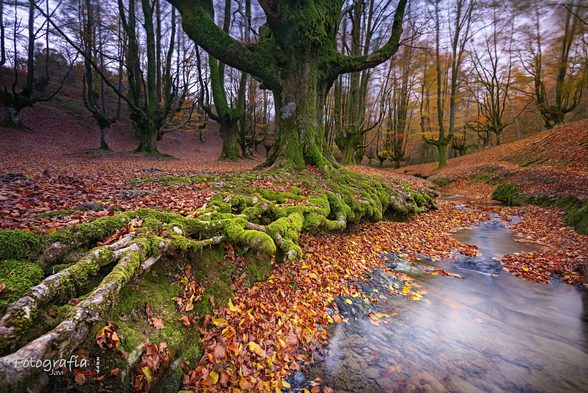 Nikon AF-S Nikkor 16-35mm F4G ED VR sample photo. Otxarreta photography