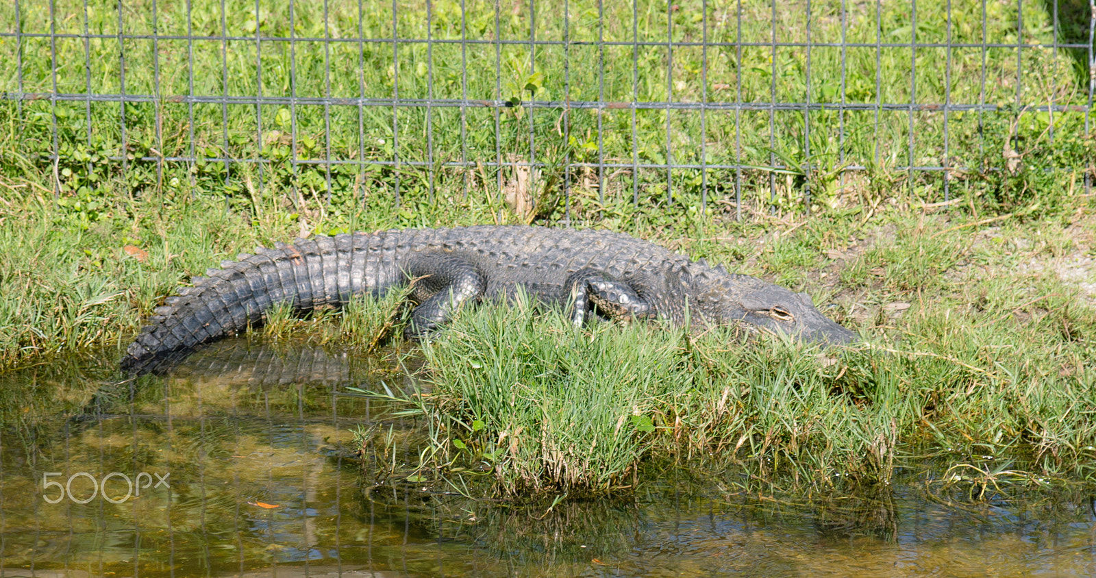 Sony DT 16-105mm F3.5-5.6 sample photo. Dsc photography