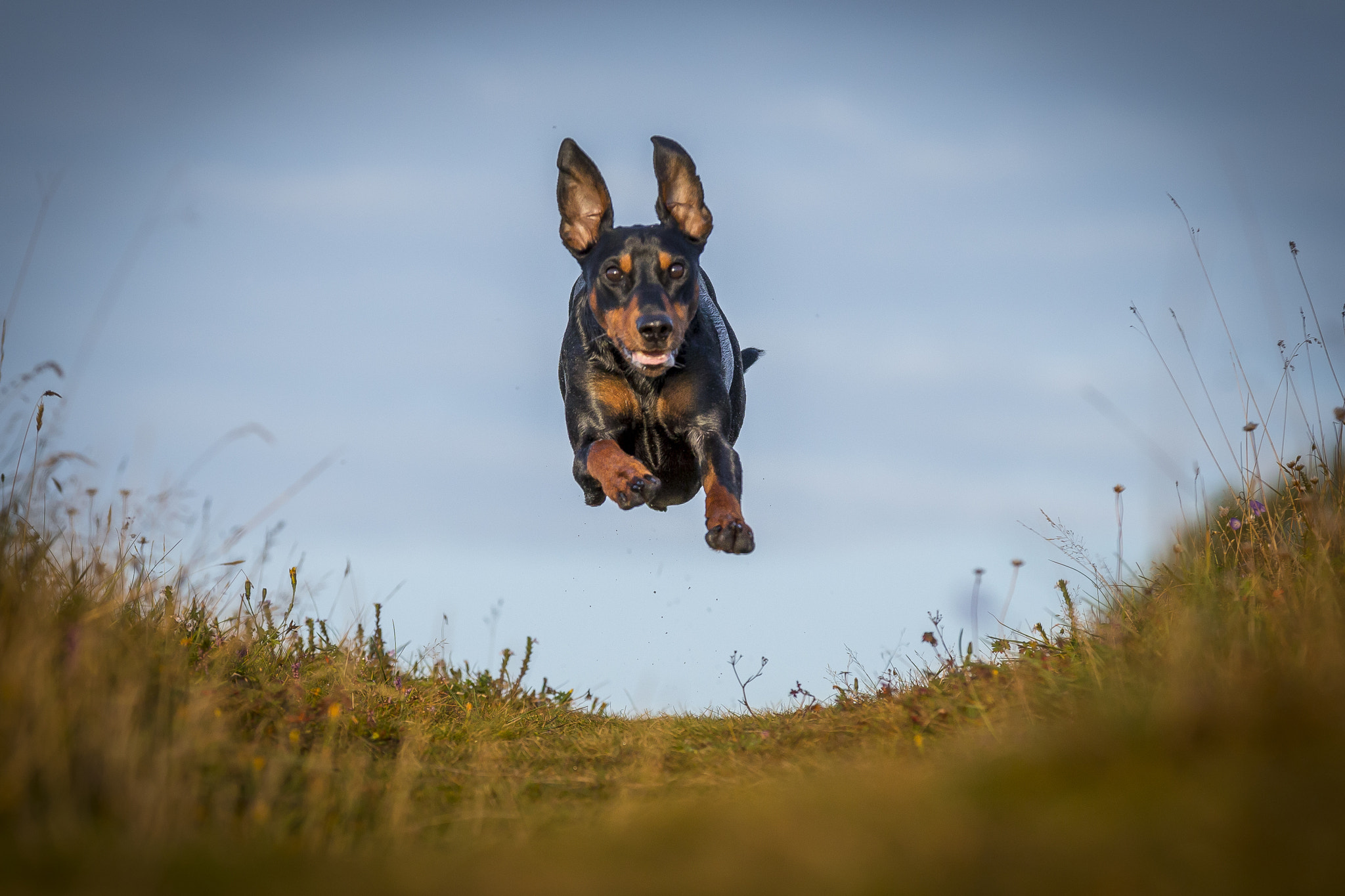 Canon EOS-1D X sample photo. I believe i can fly photography