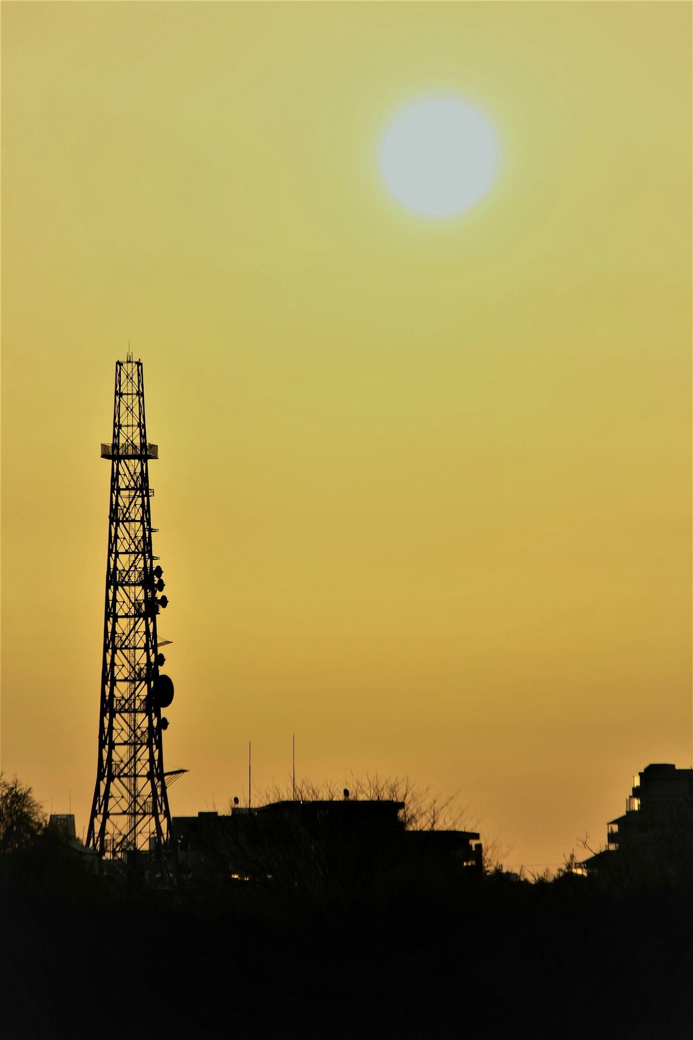Canon EF-S 55-250mm F4-5.6 IS II sample photo. The morning sun photography