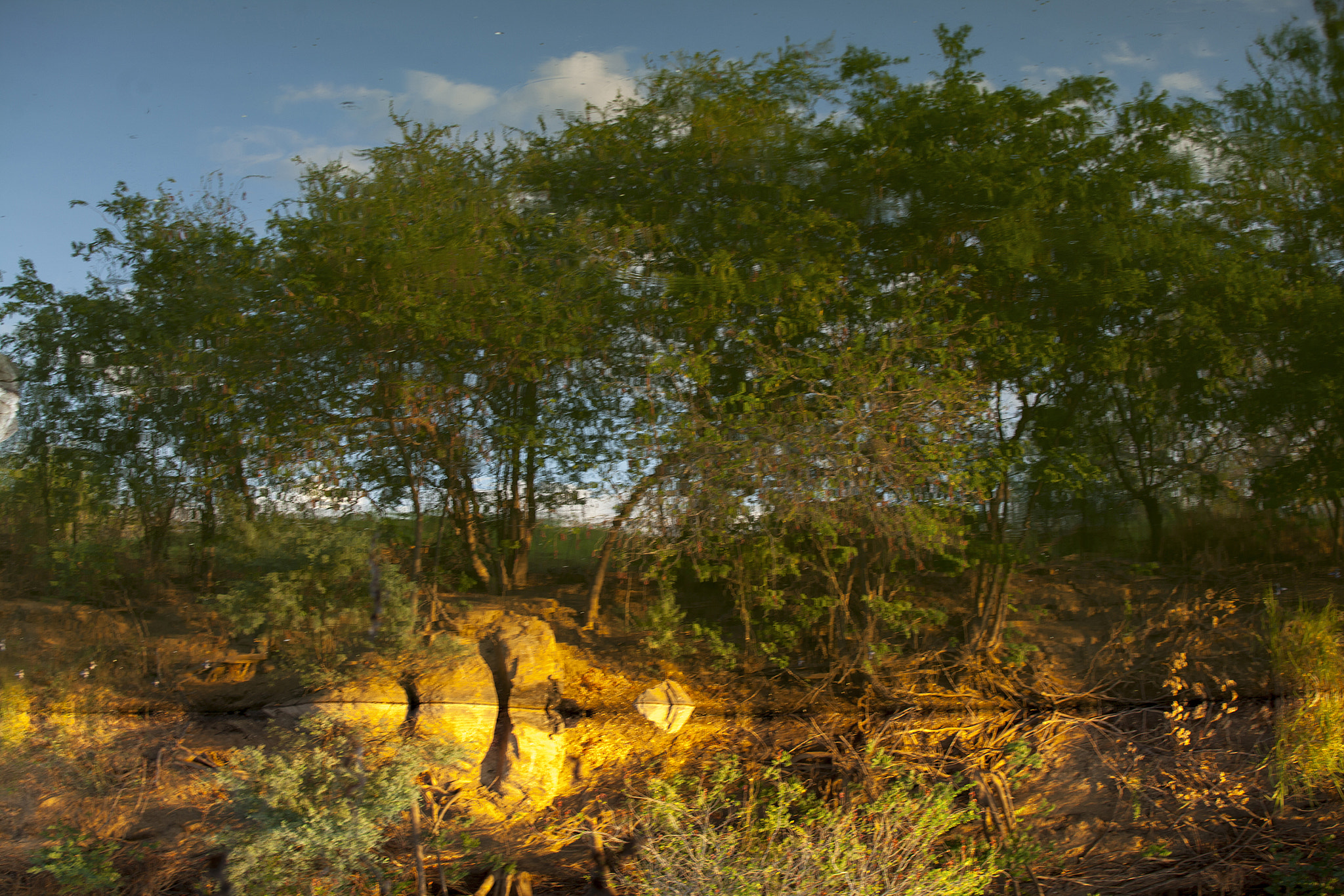 Canon EOS 5D Mark II + Canon EF 70-200mm F2.8L USM sample photo. Em busca de cezanne photography