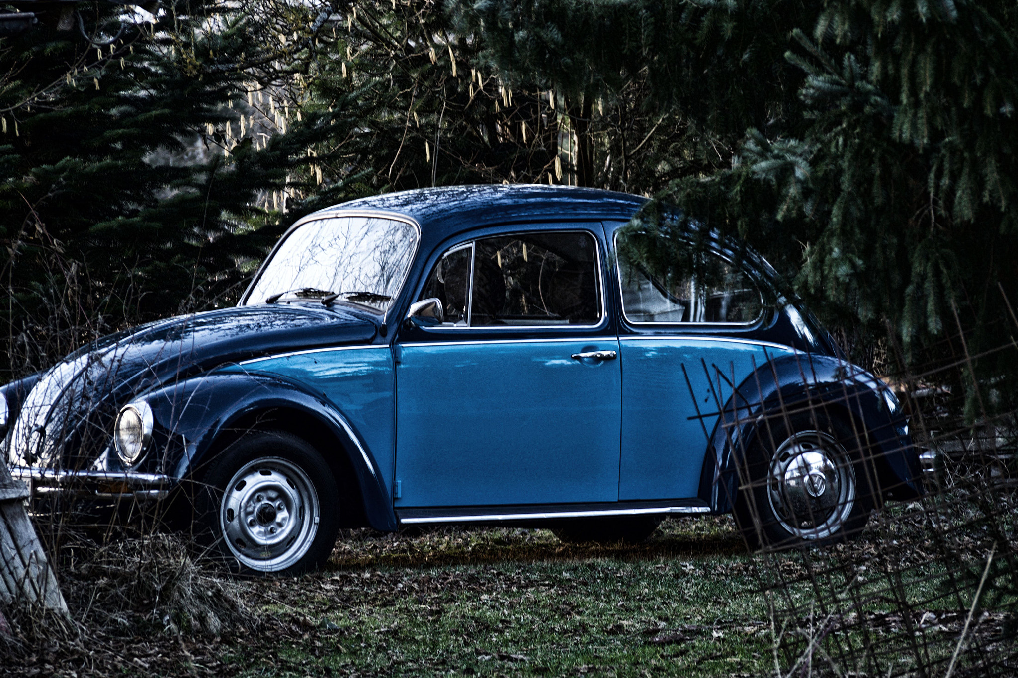 Olympus OM-D E-M10 II sample photo. Vw käfer photography