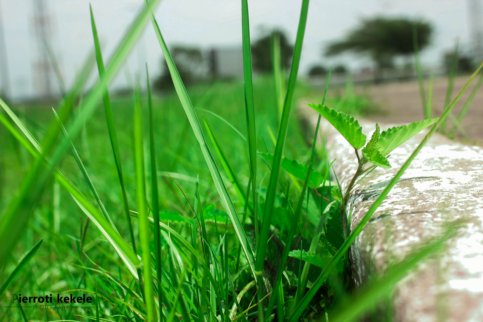 Canon EOS 60D + Canon EF 40mm F2.8 STM sample photo. Landscap  photography