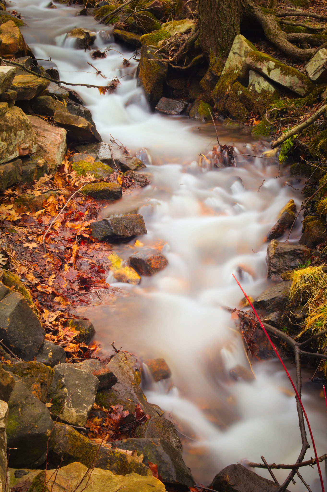 Canon EF-S 18-55mm F3.5-5.6 II sample photo. Red run photography