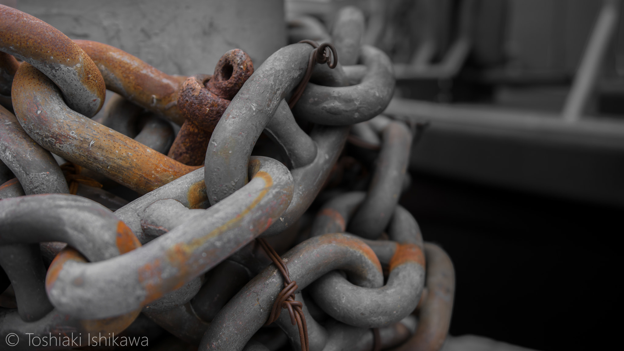 Nikon D7100 sample photo. Rusted chain photography