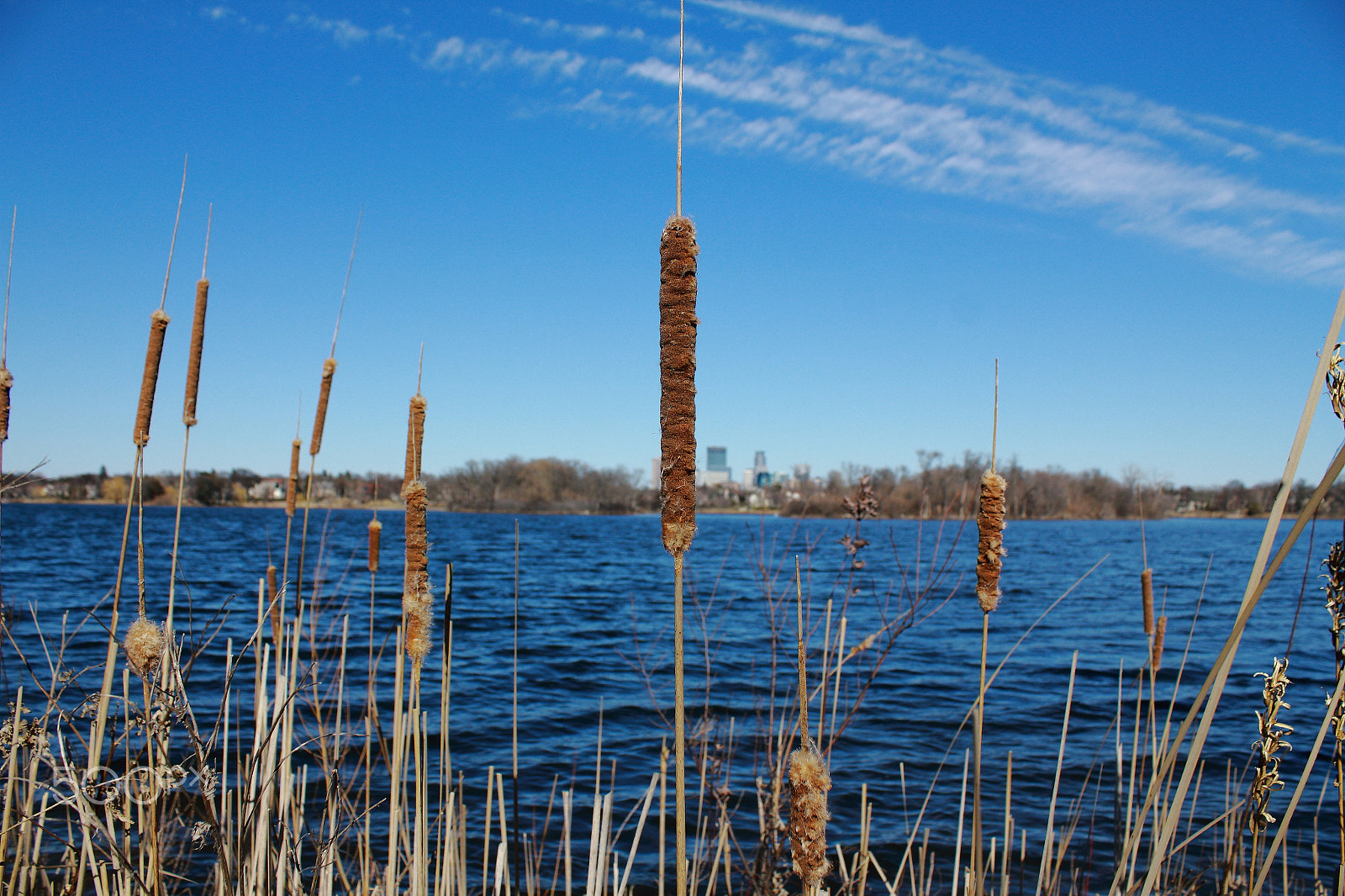 Canon EF-S 18-55mm F3.5-5.6 IS sample photo. Spring in minnesota photography