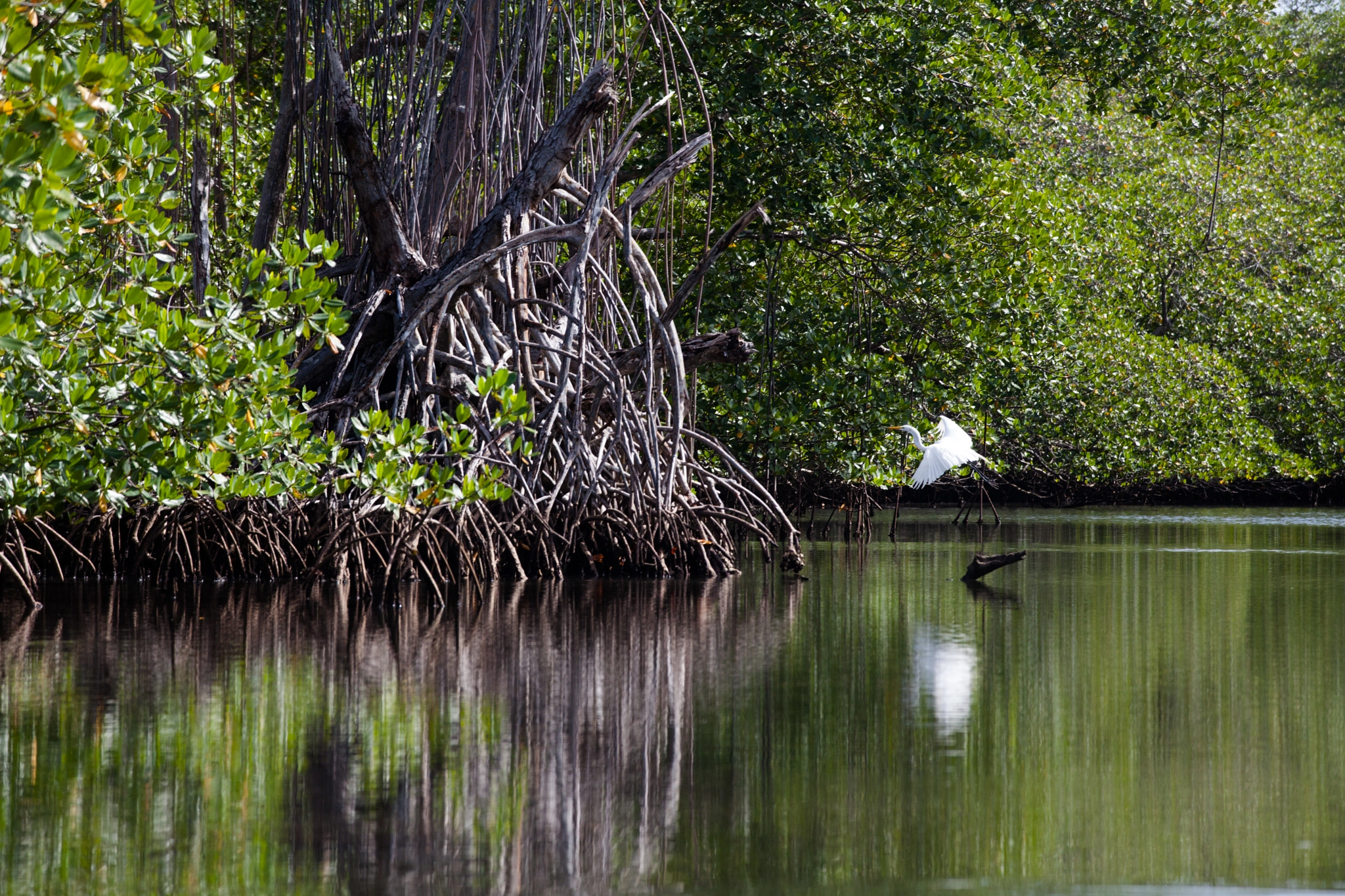 Canon EF 70-200mm F2.8L IS II USM sample photo. Los haitises photography