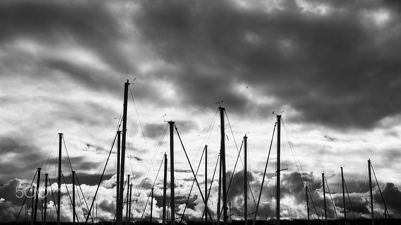 Fujifilm X-E2S sample photo. Masts photography