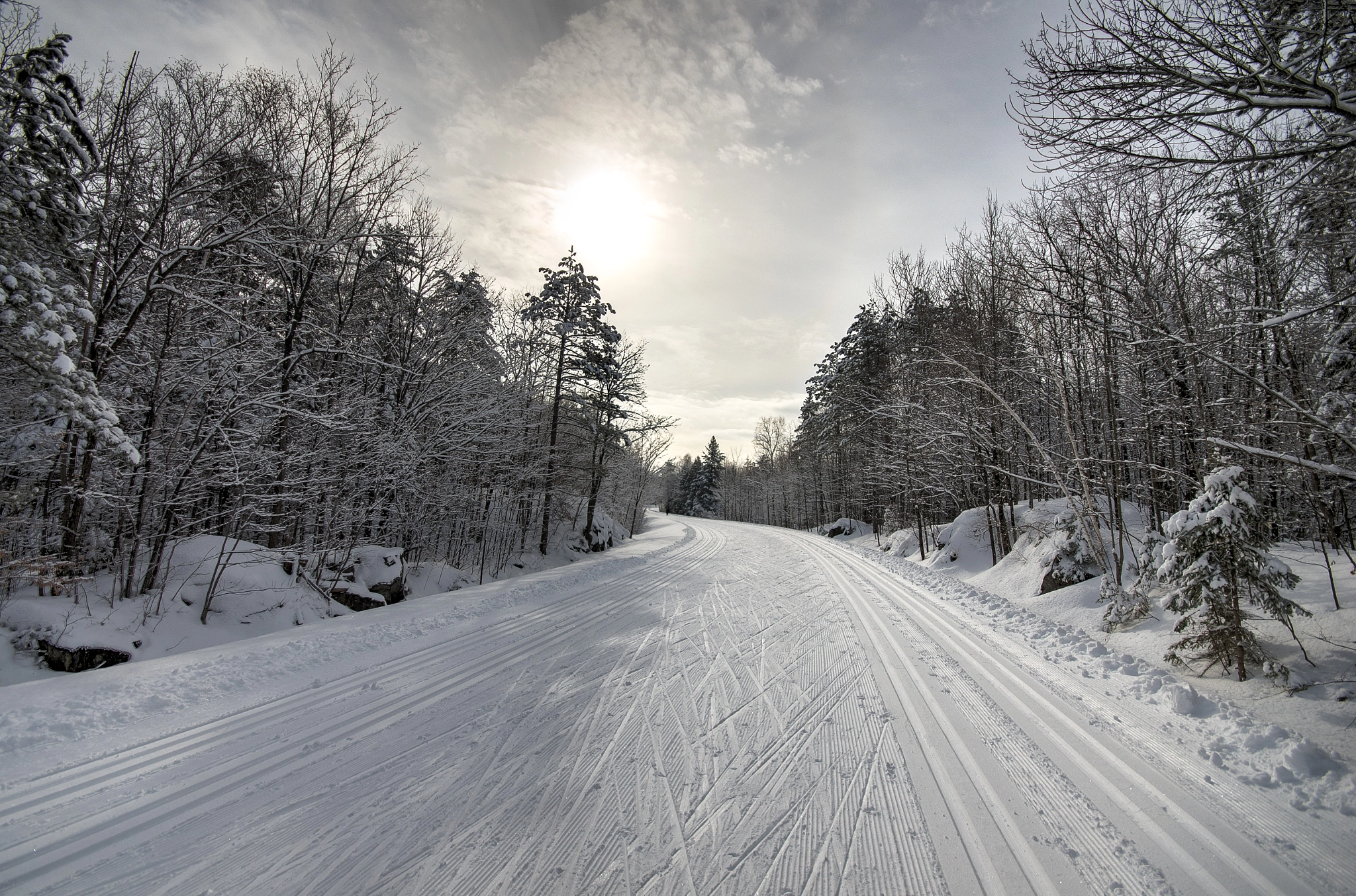 Nikon D7000 sample photo. Gatineau park photography