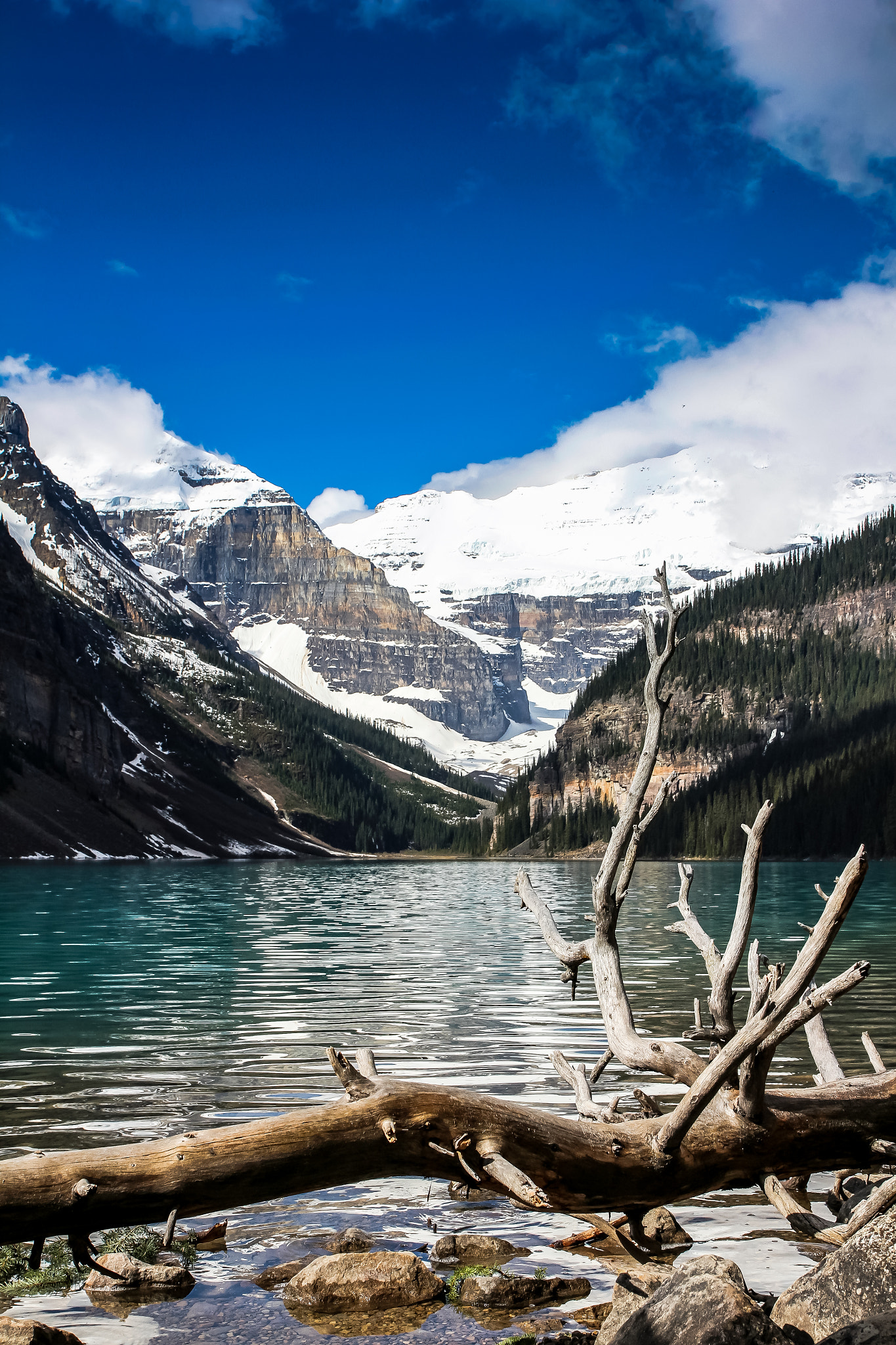 Canon EOS 60D sample photo. Lovely lake louise photography