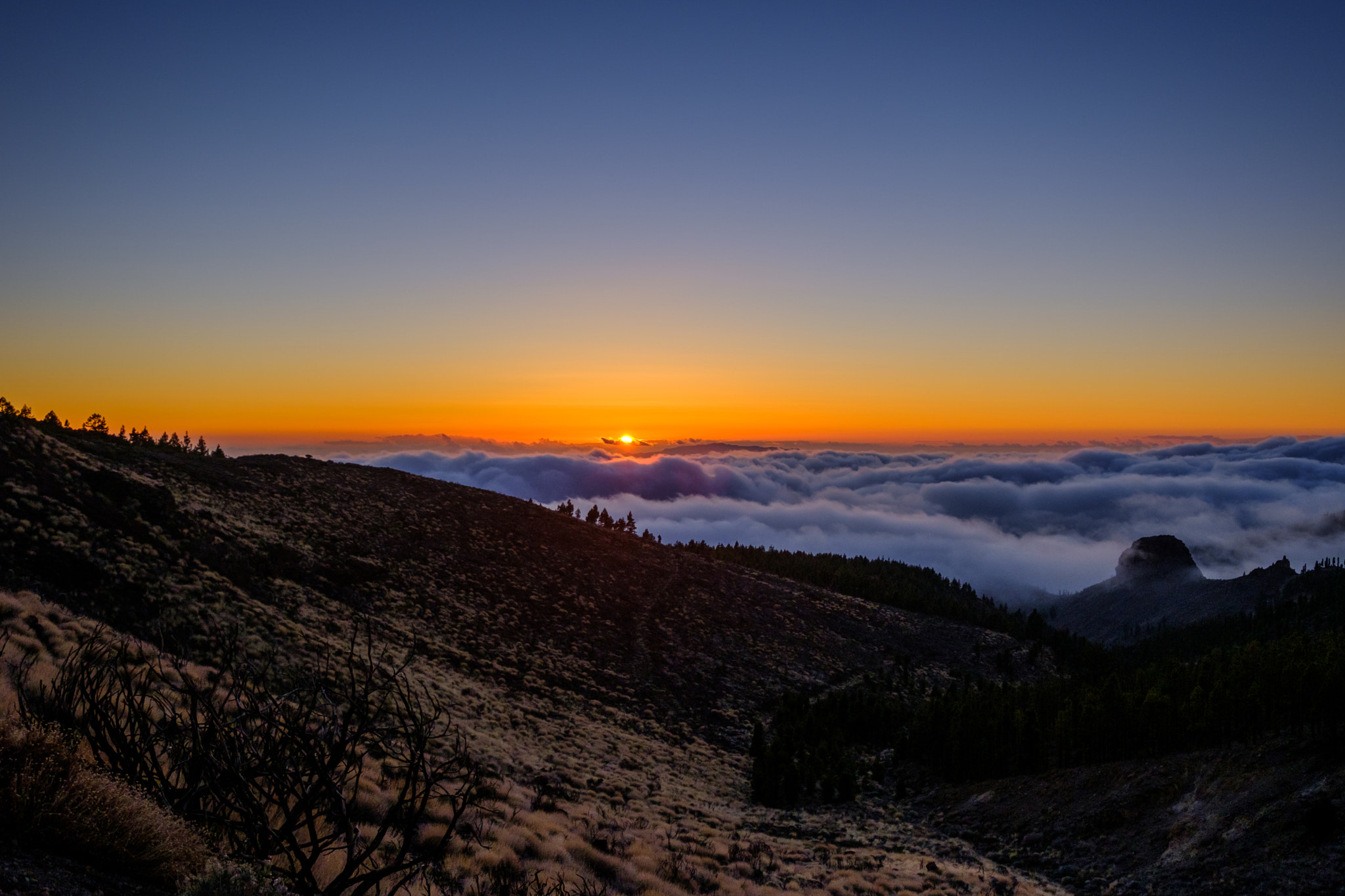 Fujifilm X-T2 + Fujifilm XF 10-24mm F4 R OIS sample photo. Tenerife photography