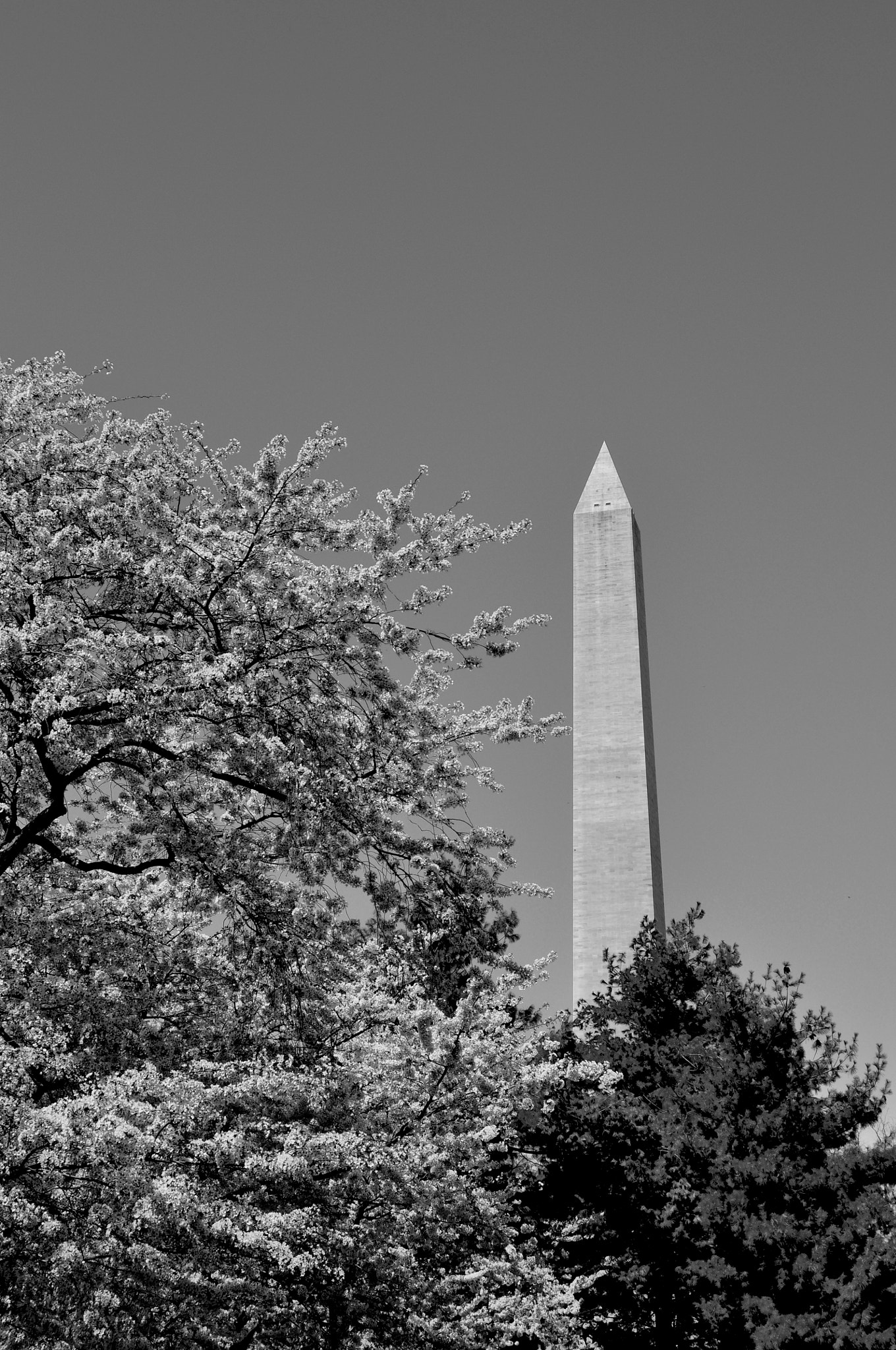 Nikon D90 sample photo. Washington ii b&w photography