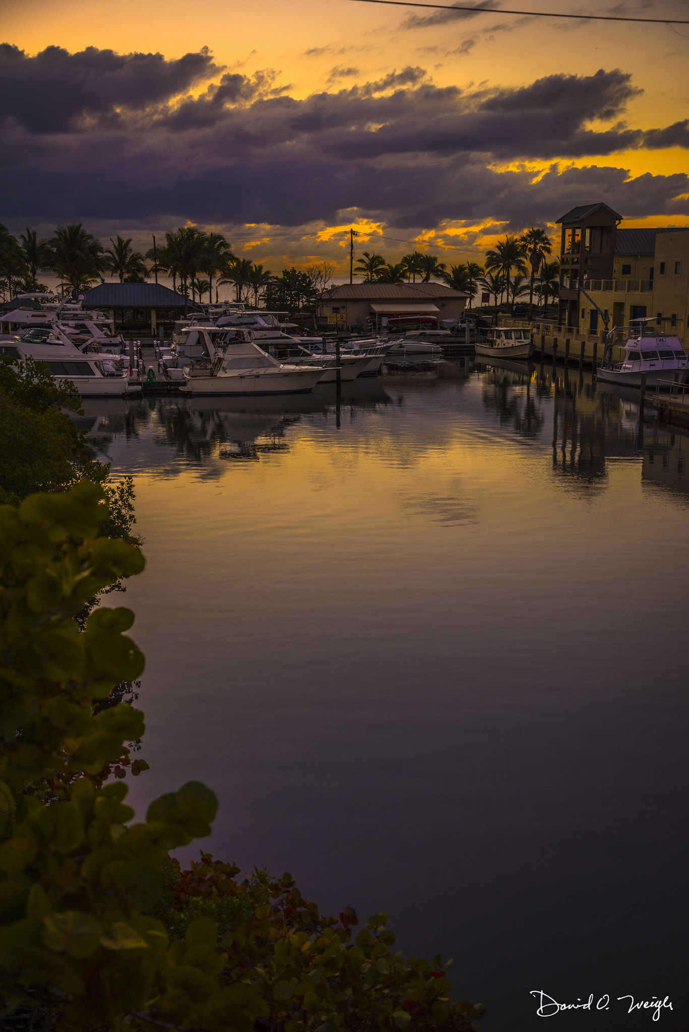 Nikon D810 sample photo. John lloyd state park photography