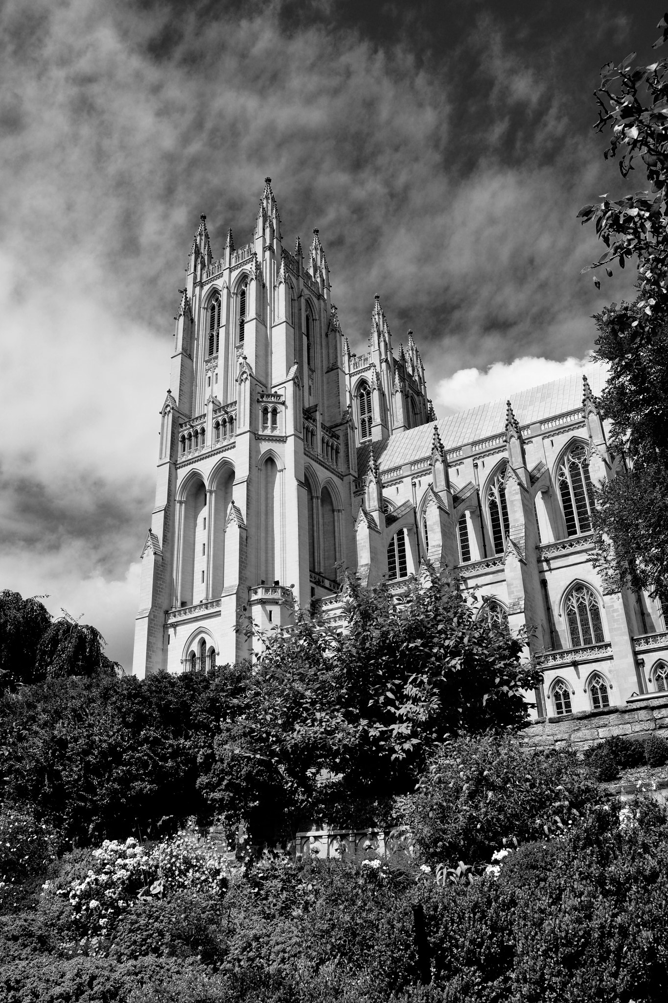 Nikon D90 sample photo. National cathedral ii b&w photography