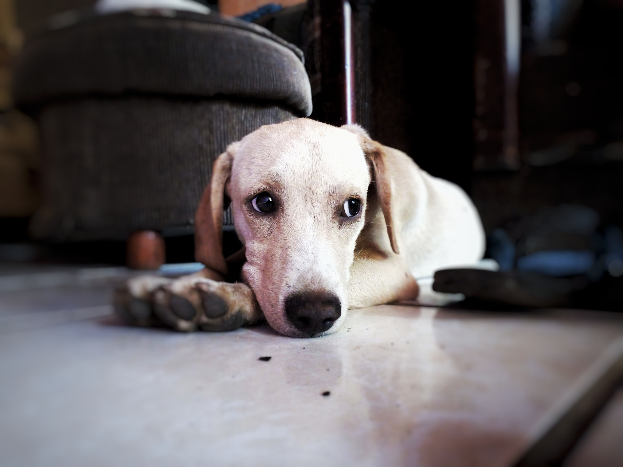 HUAWEI GR3 sample photo. Scott photography