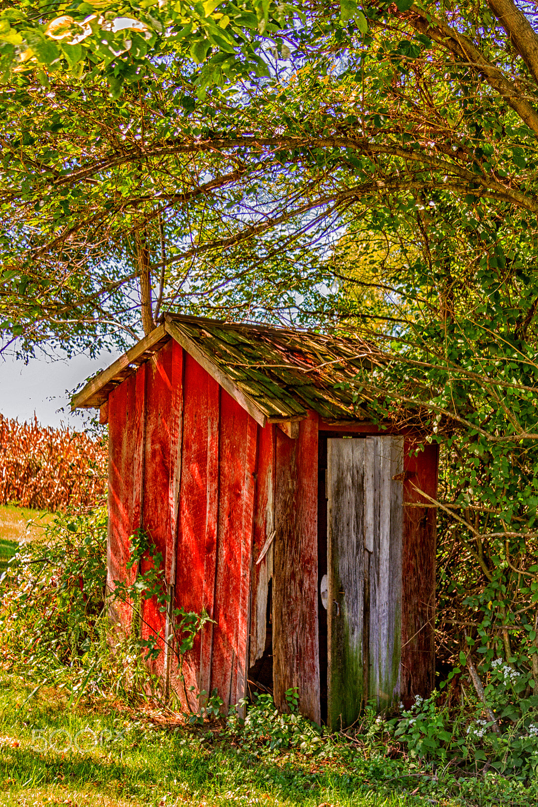 Canon EOS 7D + Canon EF 28-135mm F3.5-5.6 IS USM sample photo. Rustic, red outhouse photography