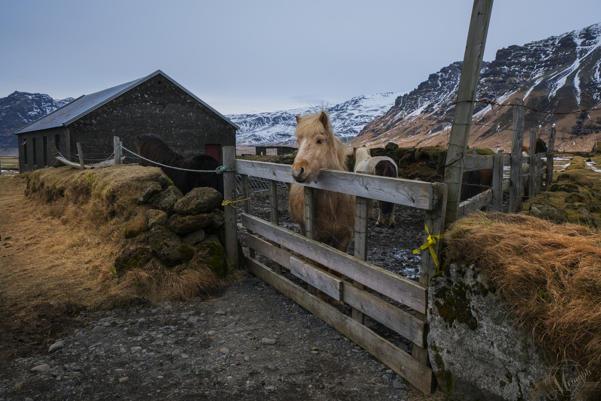 Sony a7R II + Sony Vario-Tessar T* FE 16-35mm F4 ZA OSS sample photo. Curiosity photography