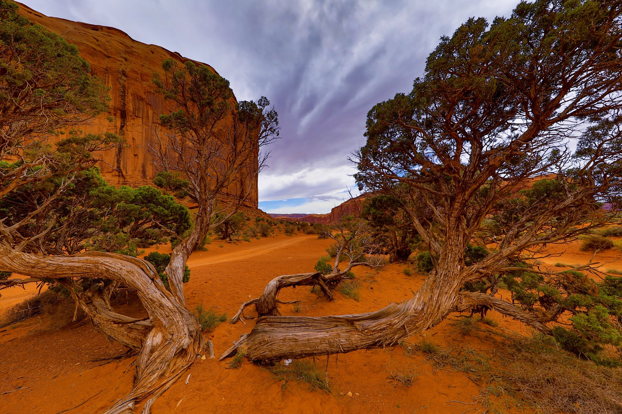 Canon EF 11-24mm F4L USM sample photo. Monument valley cloudy sunset photography