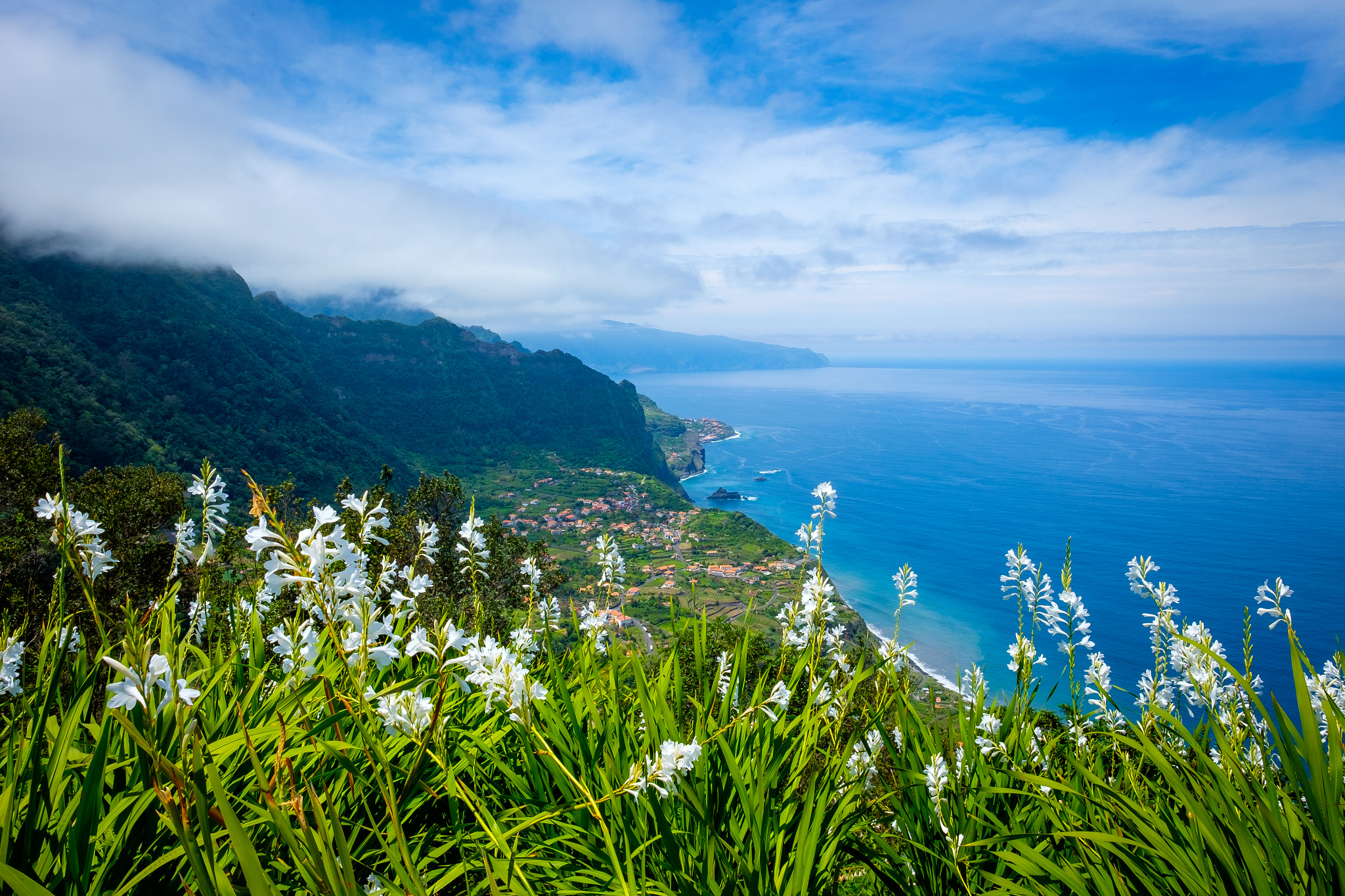 Fujifilm X-E2 sample photo. Madeira flowers photography