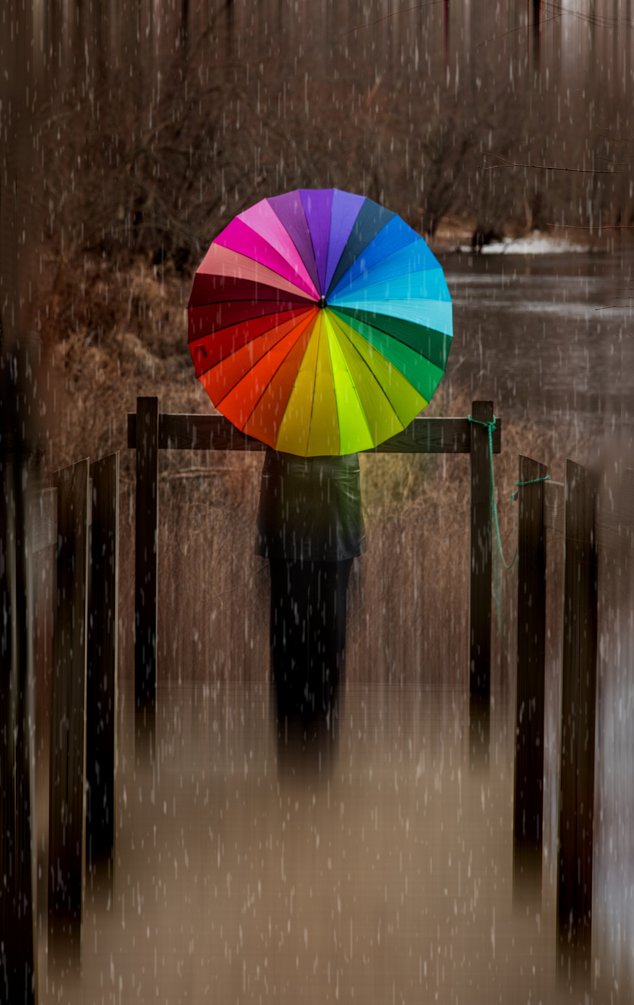 Sigma 85mm F1.4 EX DG HSM sample photo. Umbrella photography