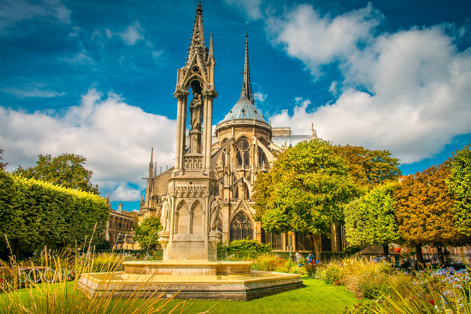 Nikon D800 sample photo. Notre dame - paris photography