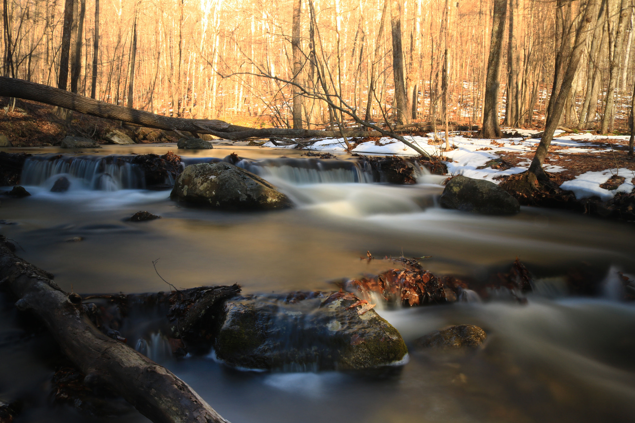 Canon EOS 750D (EOS Rebel T6i / EOS Kiss X8i) sample photo. End of winter photography