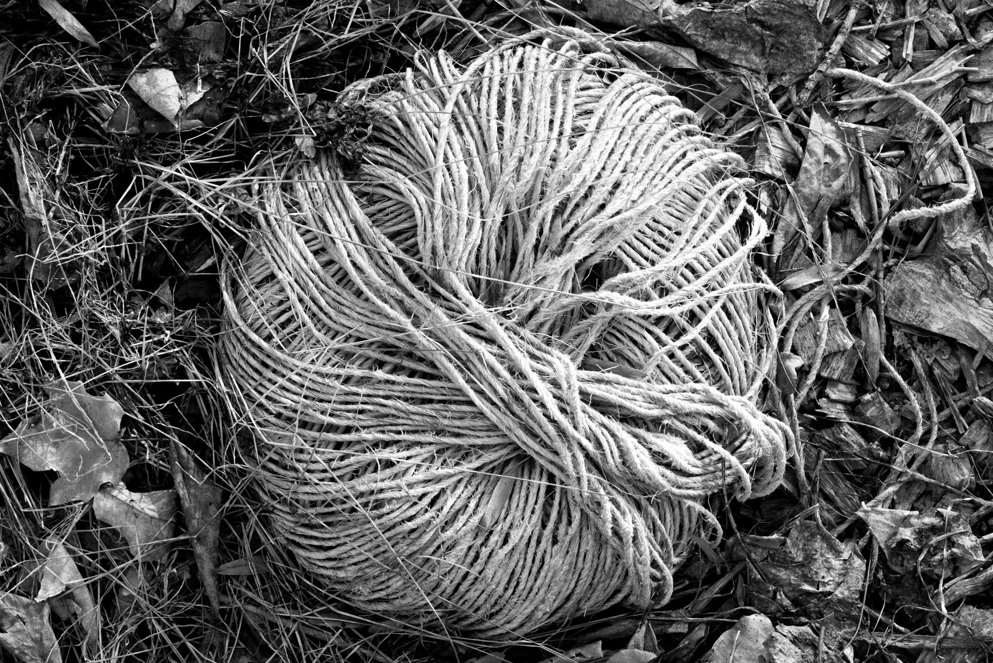 Pentax smc D-FA 100mm F2.8 Macro WR sample photo. Forgotten ball of string photography