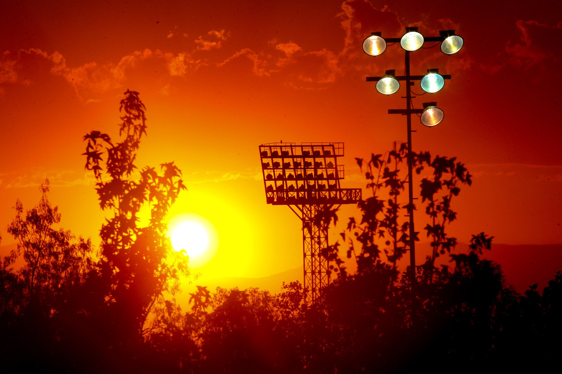 Canon EOS-1D Mark III sample photo. Stadium photography