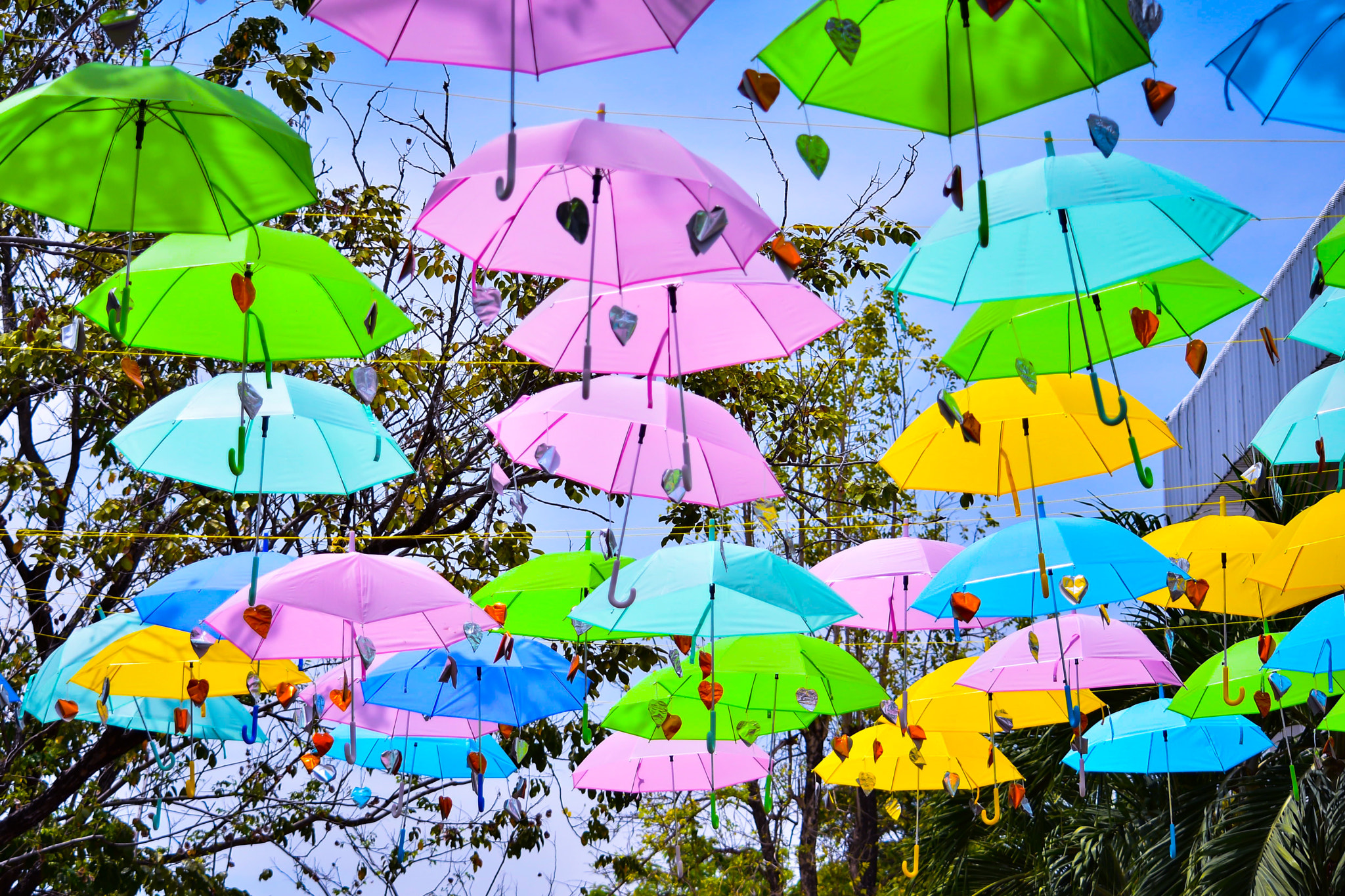 Nikon D7200 sample photo