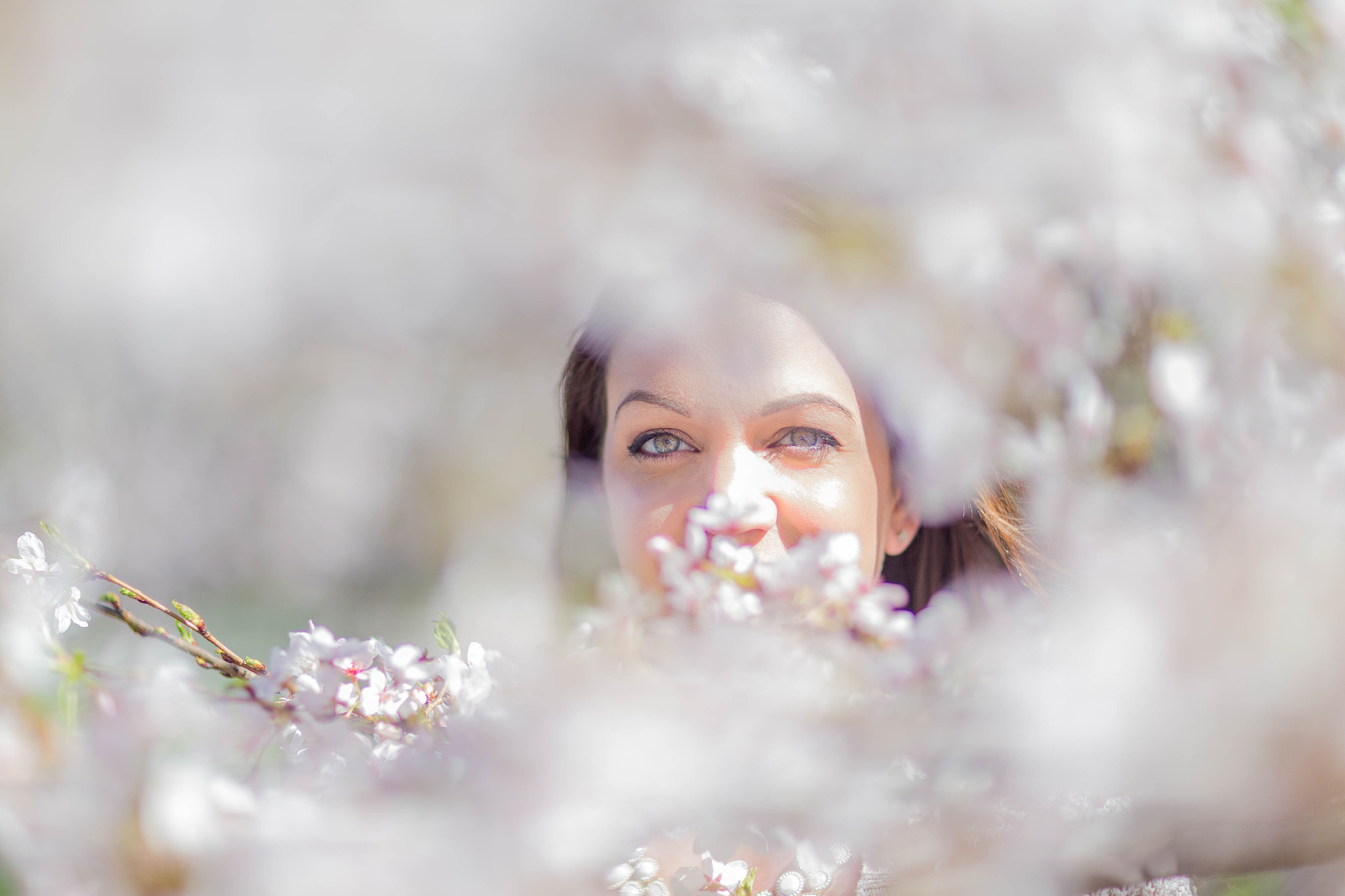 Canon EOS 6D sample photo. Cherry blossom festival d.c. photography