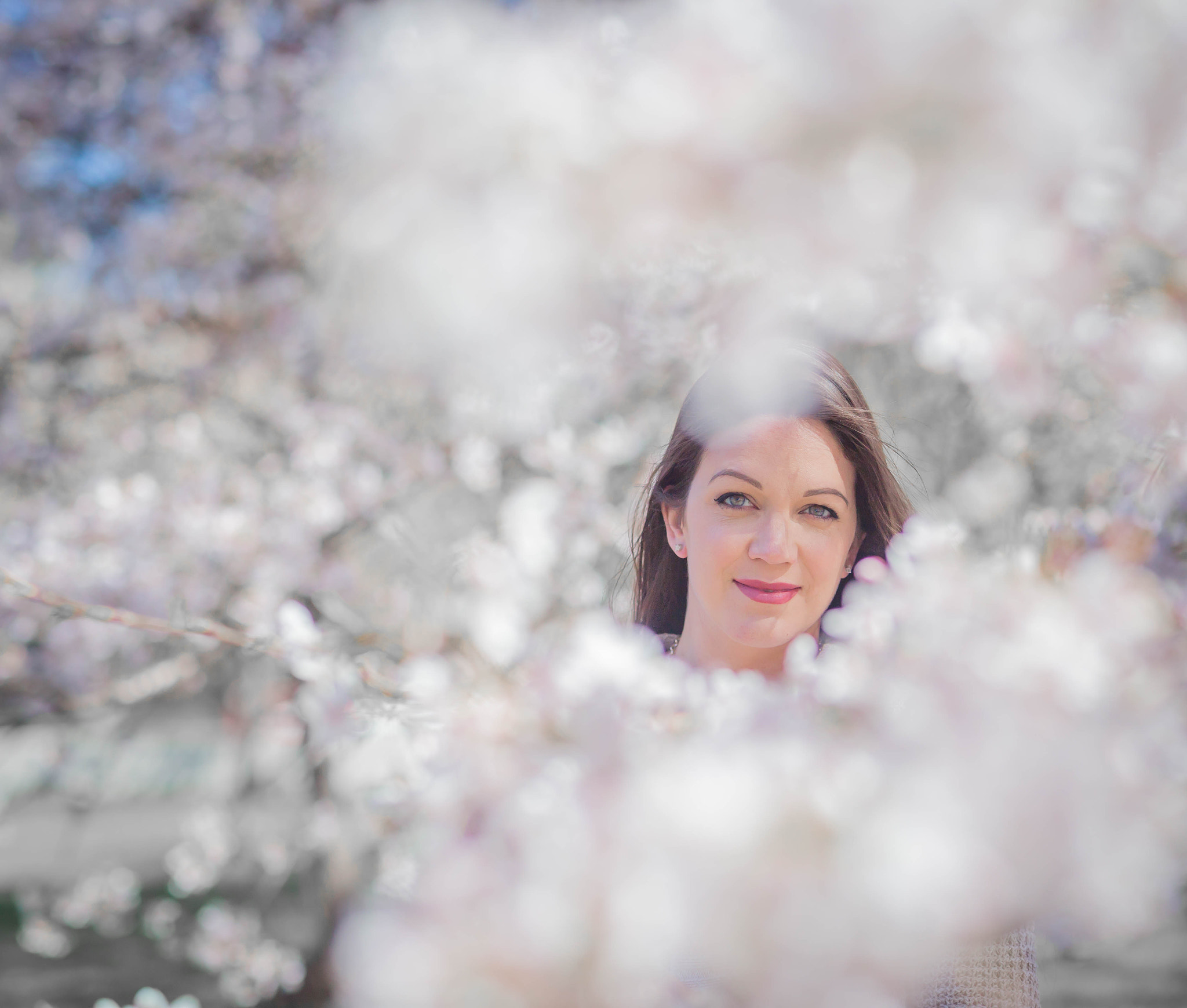 Canon EOS 6D sample photo. Cherry blossom festival d.c. photography