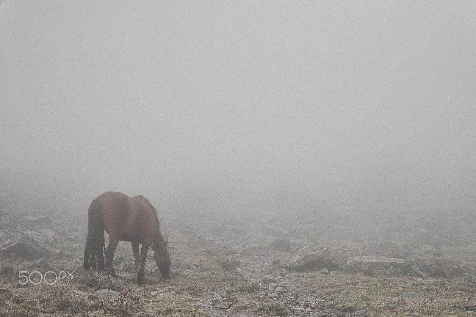 Sony a7 + Sony DT 50mm F1.8 SAM sample photo. En las nubes photography