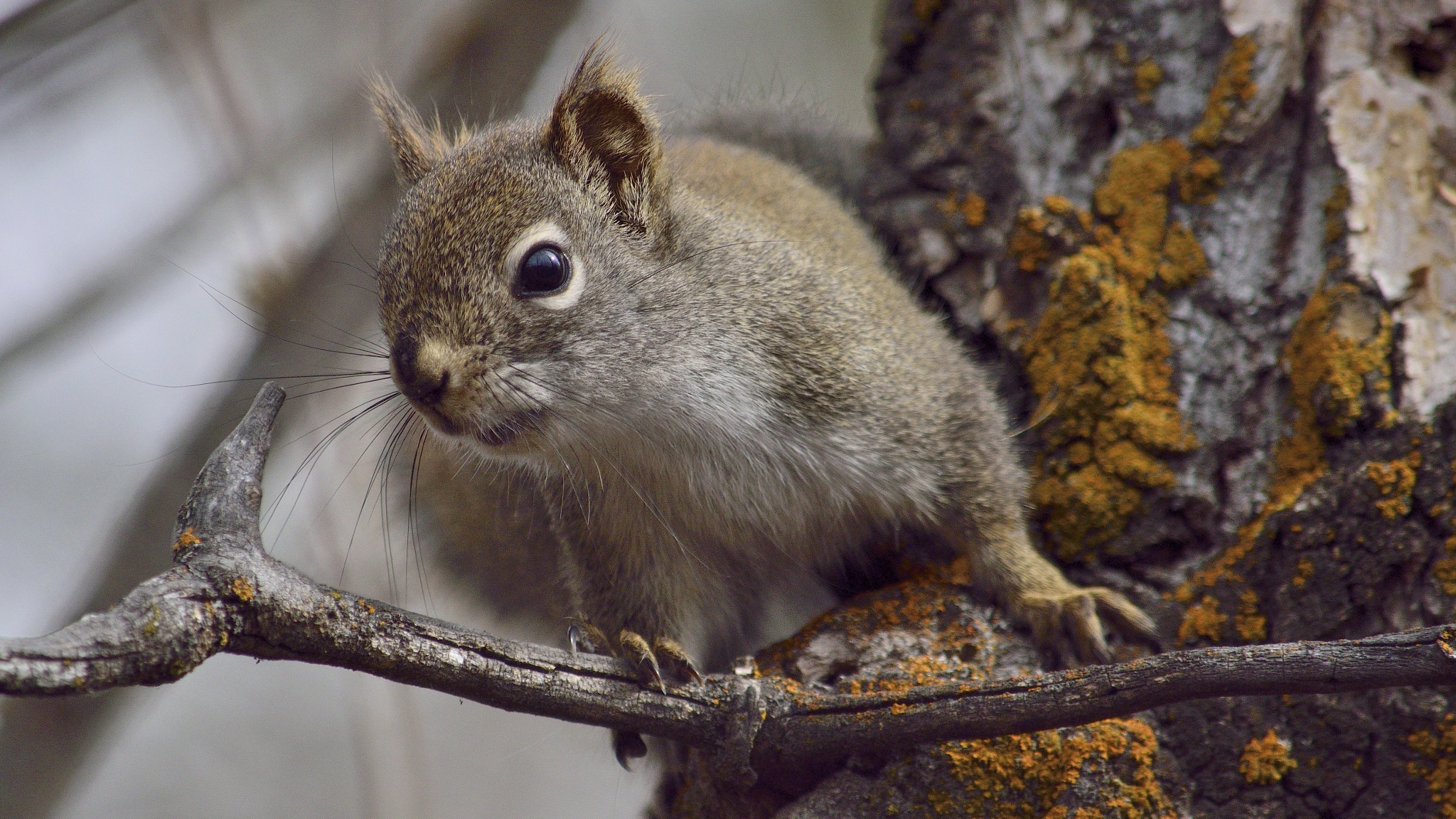 Nikon D5500 sample photo. Hey! photography