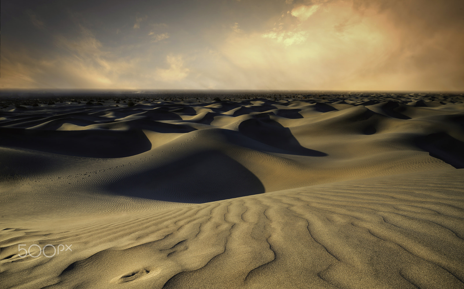 Nikon AF-S Nikkor 14-24mm F2.8G ED sample photo. Death valley light photography