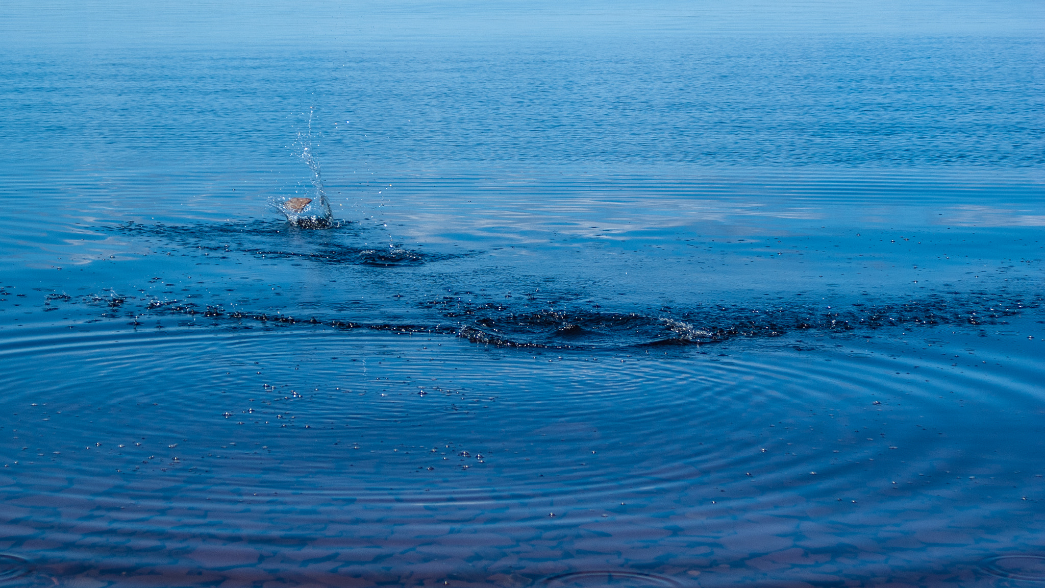 Sony Alpha DSLR-A330 sample photo. Skipping stone photography