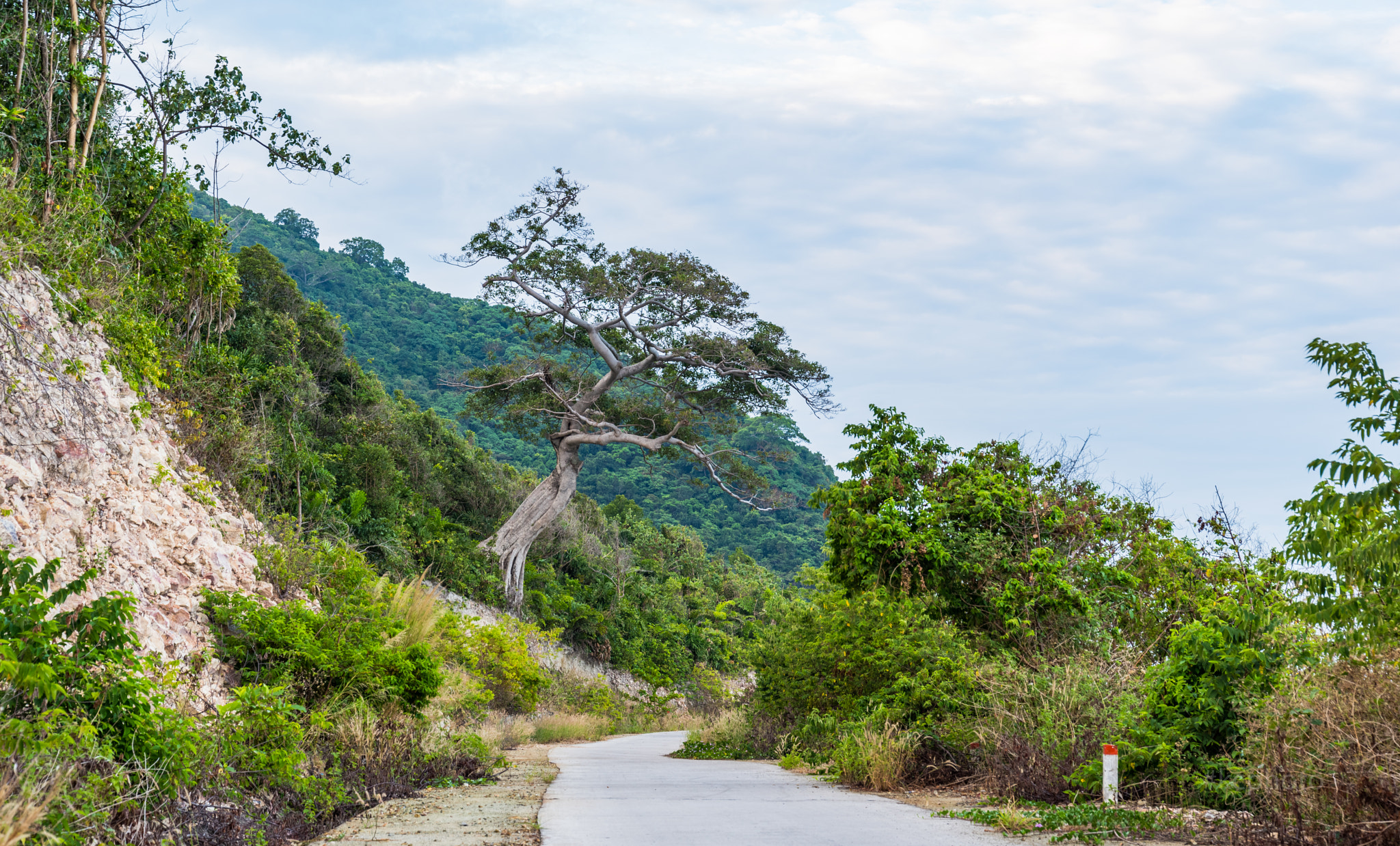 Pentax K-1 sample photo. Alone photography